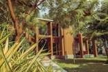 A modern two-story building surrounded by lush vegetation and tall trees. The architecture features clean lines and earthy tones, blending harmoniously with the natural surroundings. Sunlight filters through the greenery, casting gentle shadows on the structure and well-maintained grass.