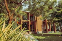 A modern two-story building surrounded by lush vegetation and tall trees. The architecture features clean lines and earthy tones, blending harmoniously with the natural surroundings. Sunlight filters through the greenery, casting gentle shadows on the structure and well-maintained grass.