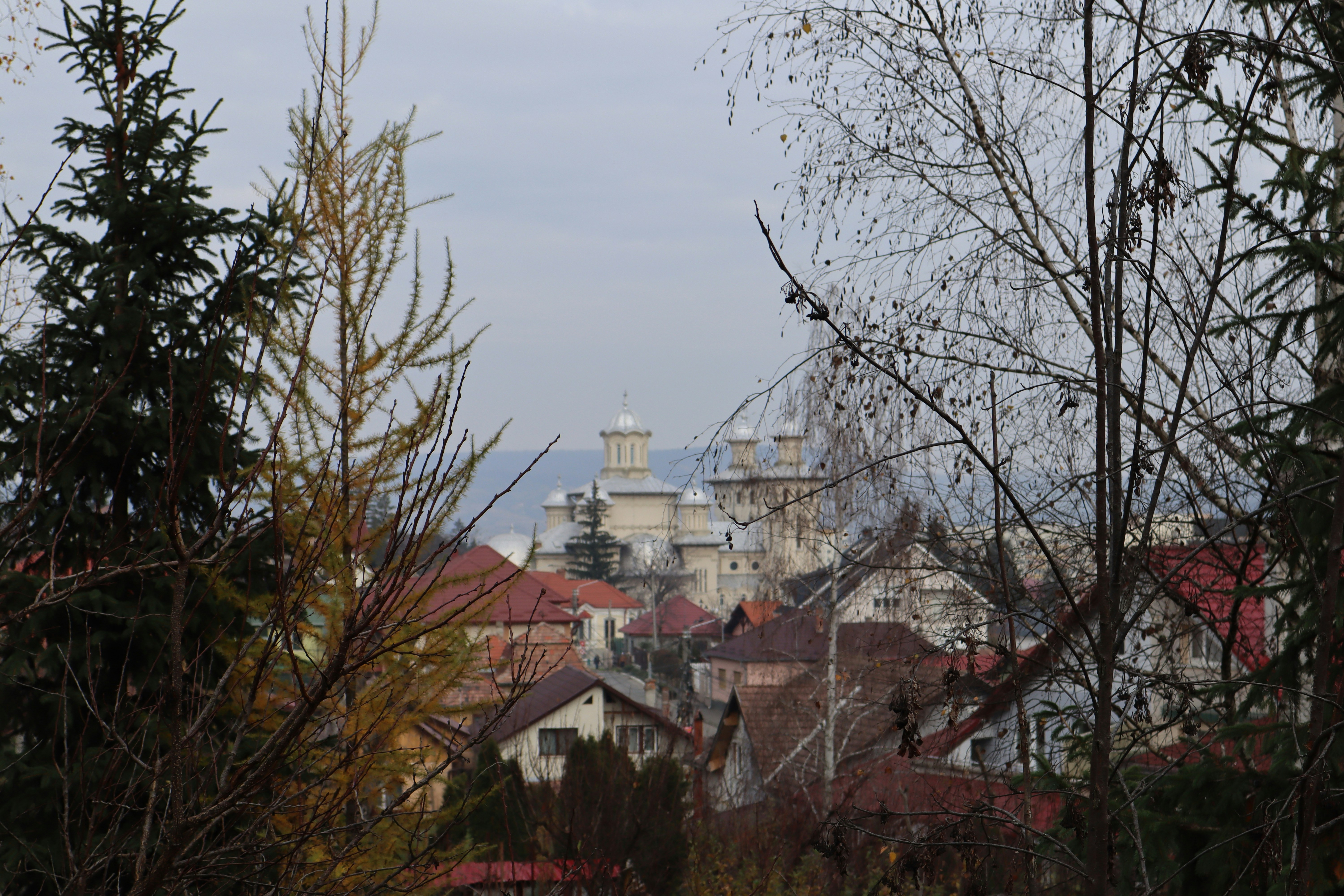 Photo by zoltanbiro1988