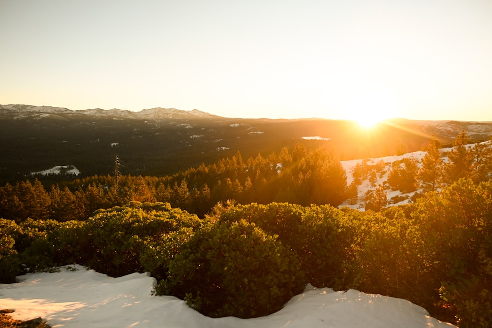 a snowy landscape with trees and mountains