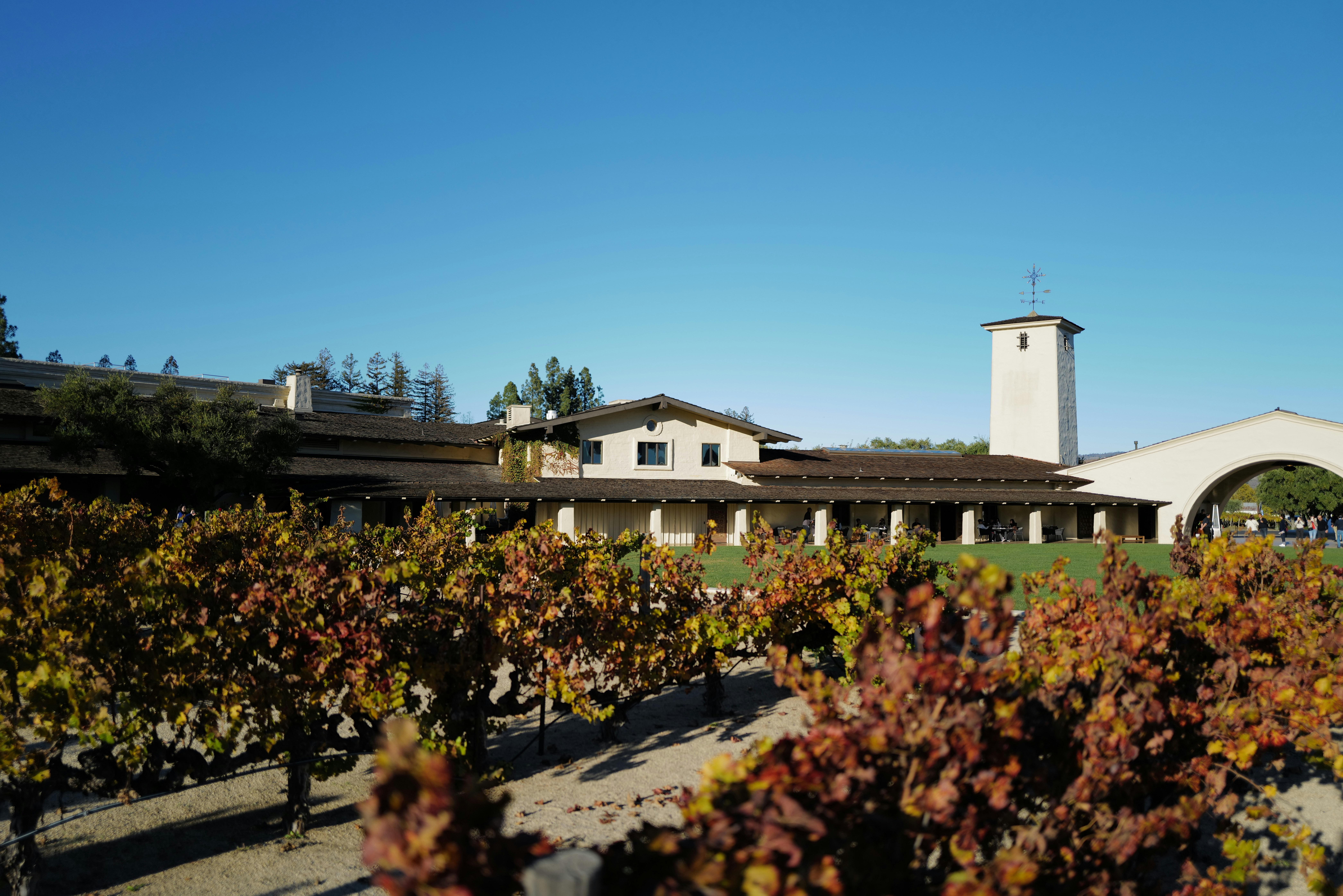 Sipping and Touring: The Top Napa Valley Wine Tours for Wine Lovers