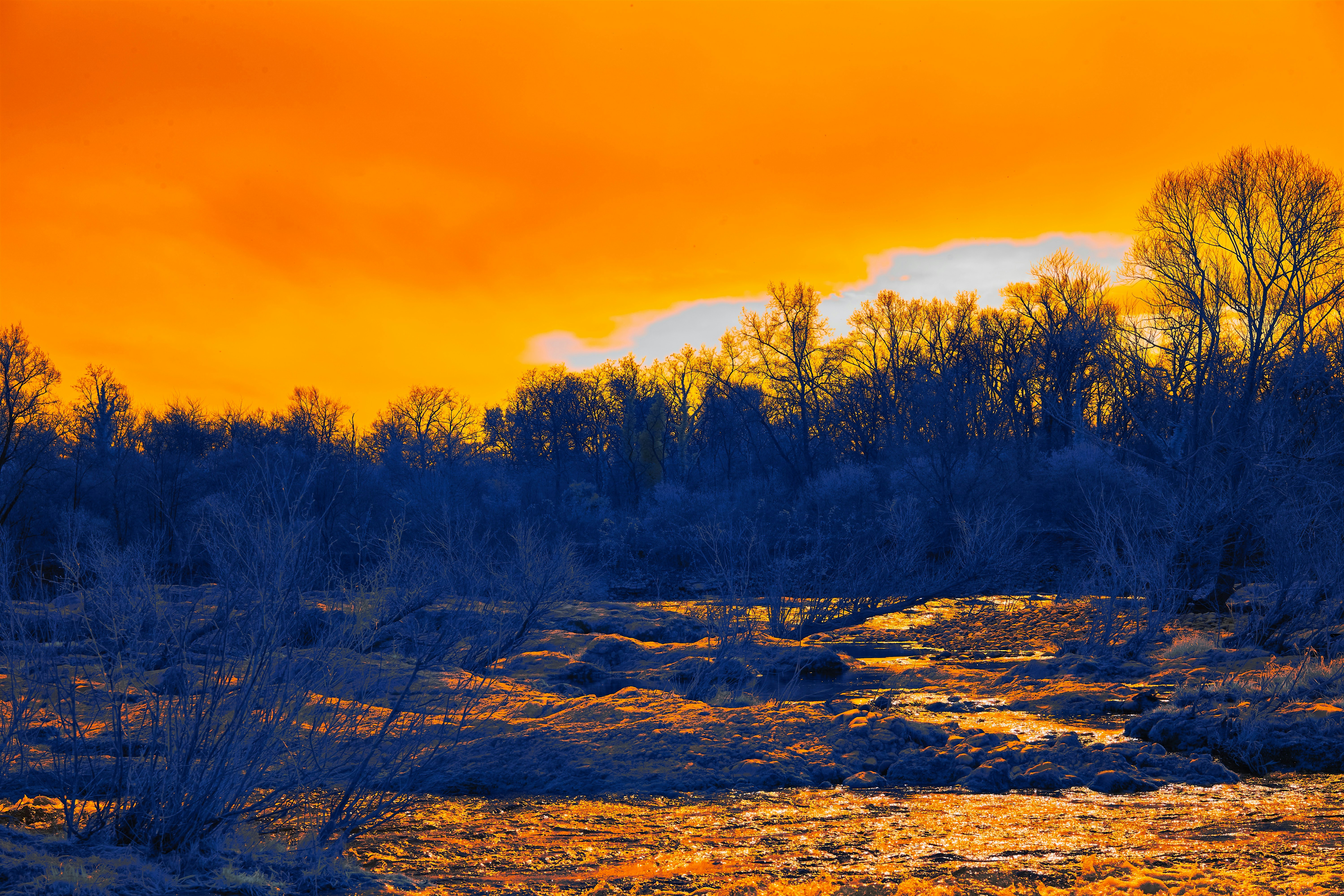 Photo by wolfgang_hasselmann