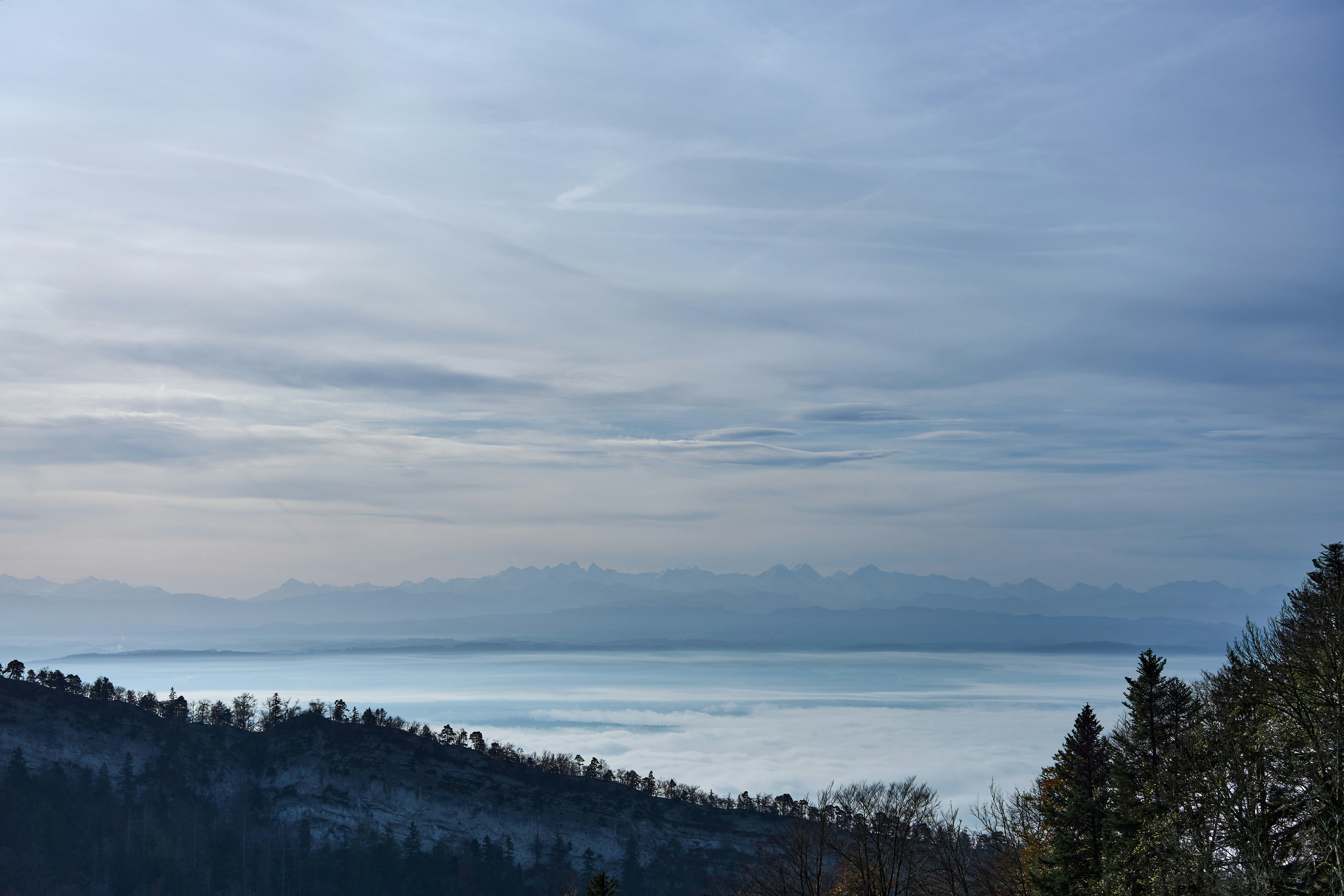 Photo by wolfgang_hasselmann