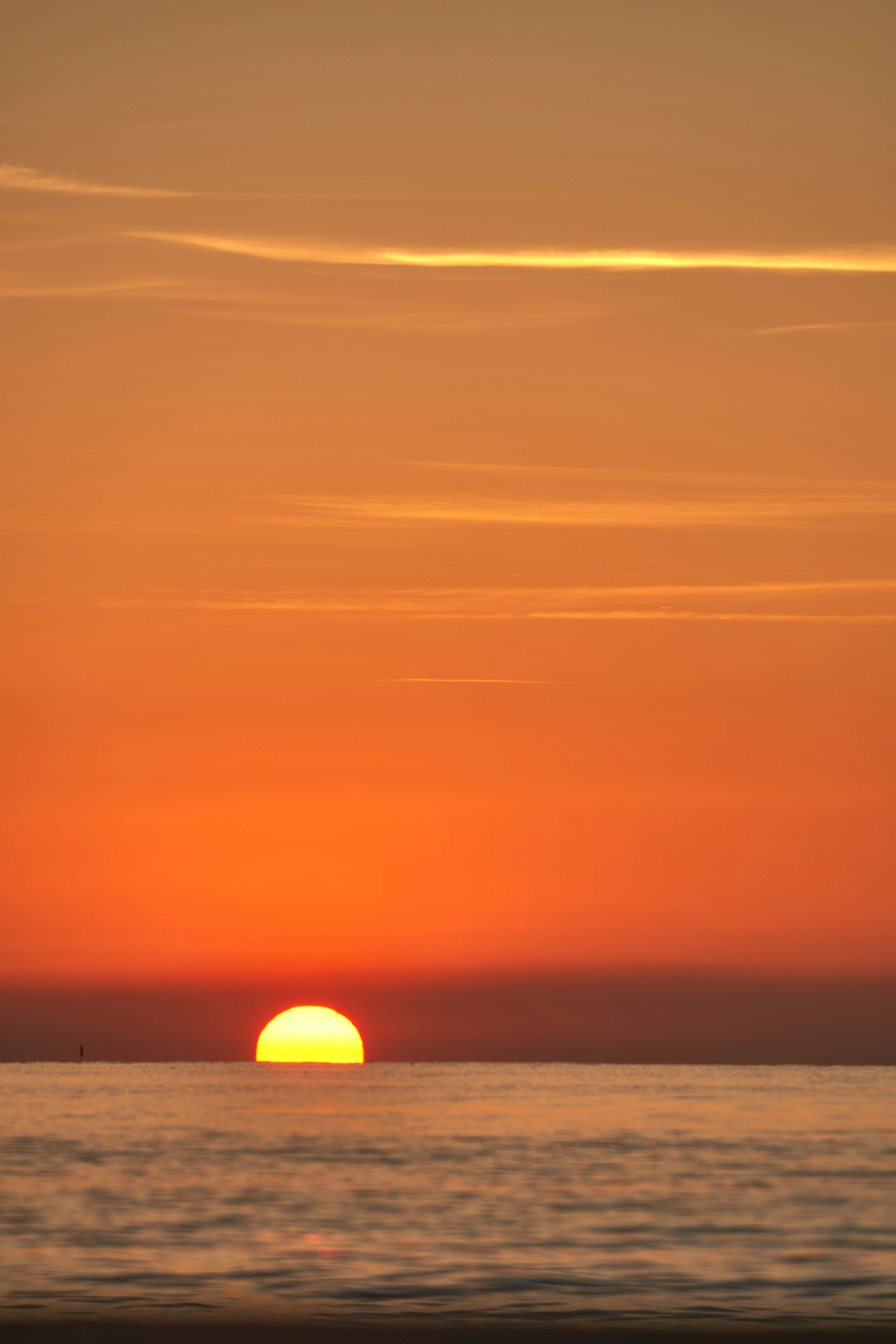 Photo by wolfgang_hasselmann