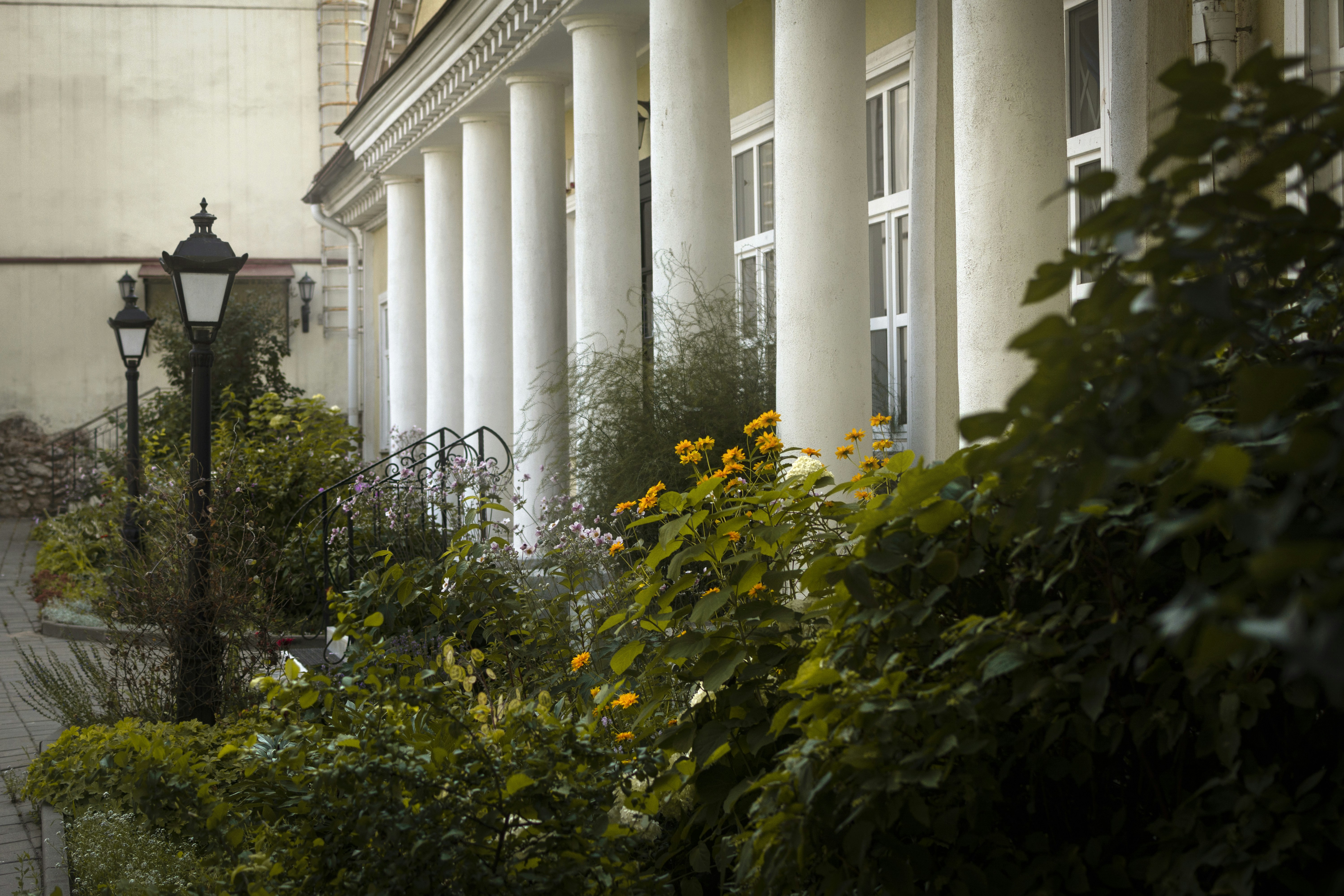 Photo by eadutskevich