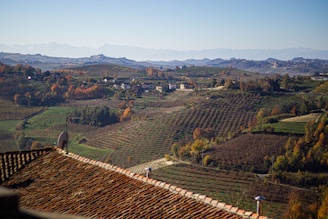 A scenic landscape with expansive, terraced vineyards stretching across rolling hills. In the background, distant mountains are visible under a clear blue sky. The foreground features a terracotta roof, and scattered trees exhibit autumn foliage in shades of green and orange. Small clusters of buildings are nestled among the vineyards.