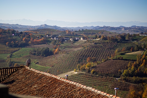 A scenic landscape with expansive, terraced vineyards stretching across rolling hills. In the background, distant mountains are visible under a clear blue sky. The foreground features a terracotta roof, and scattered trees exhibit autumn foliage in shades of green and orange. Small clusters of buildings are nestled among the vineyards.