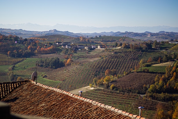 A scenic landscape with expansive, terraced vineyards stretching across rolling hills. In the background, distant mountains are visible under a clear blue sky. The foreground features a terracotta roof, and scattered trees exhibit autumn foliage in shades of green and orange. Small clusters of buildings are nestled among the vineyards.