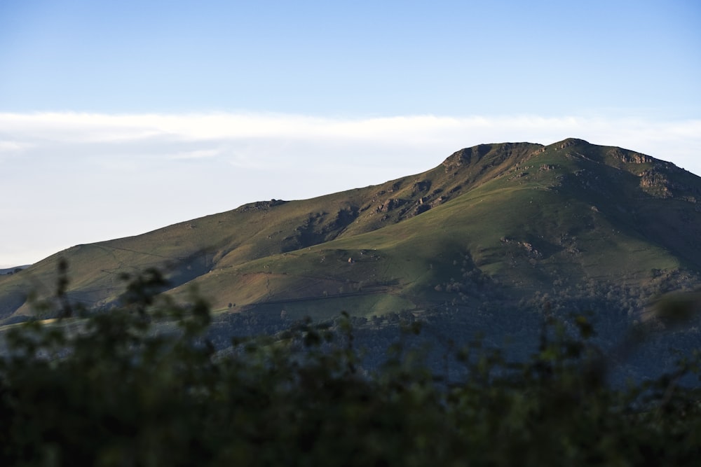 uma paisagem com árvores e colinas