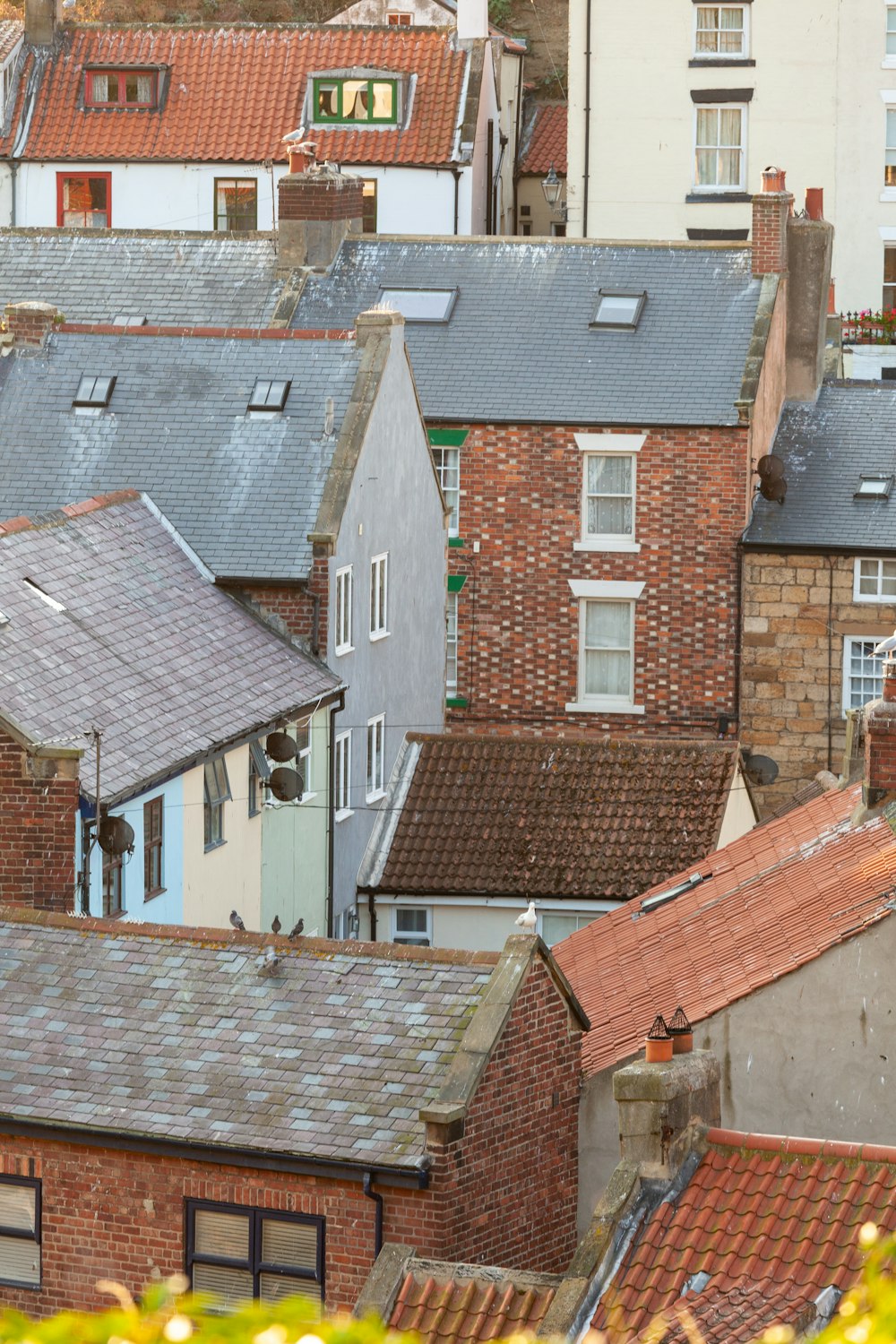 a group of houses