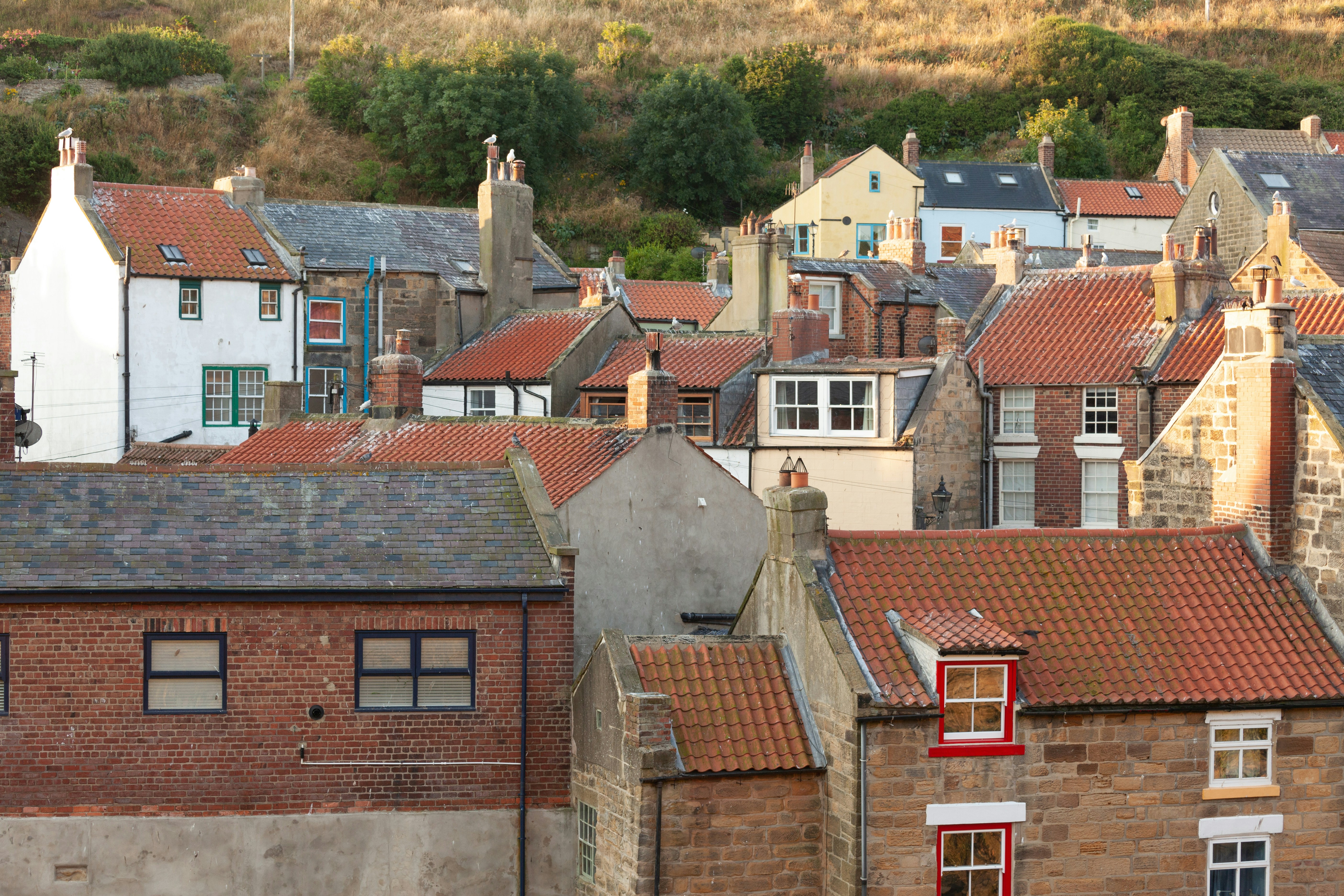 a group of houses with trees in the background