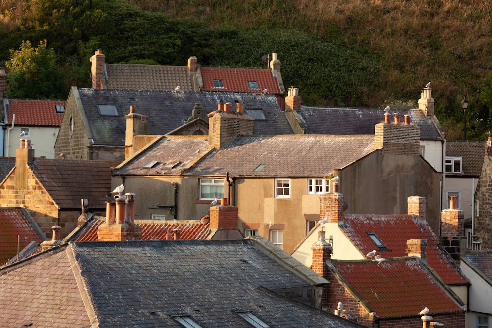 a group of houses with trees in the background