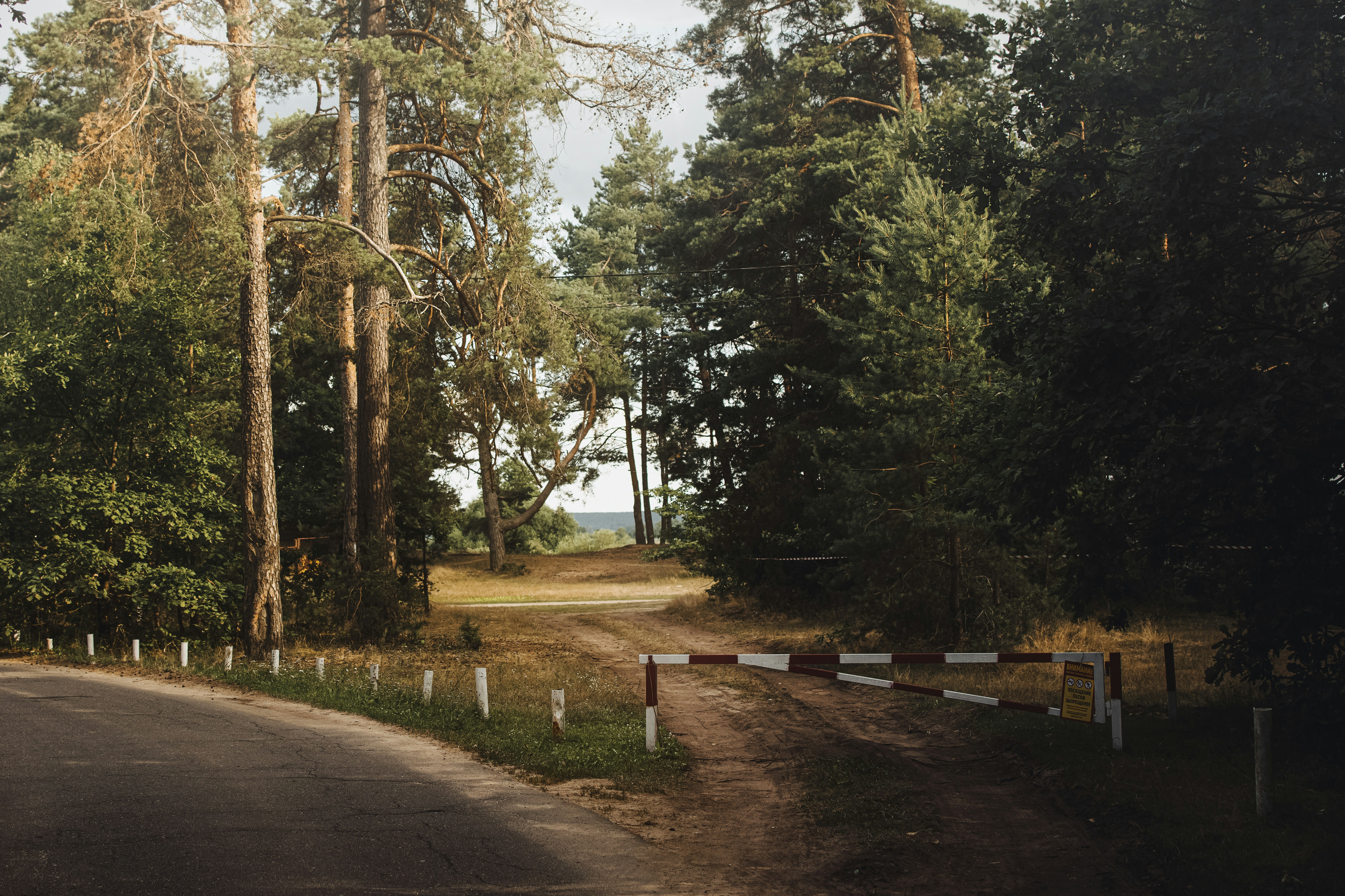 Photo by eadutskevich