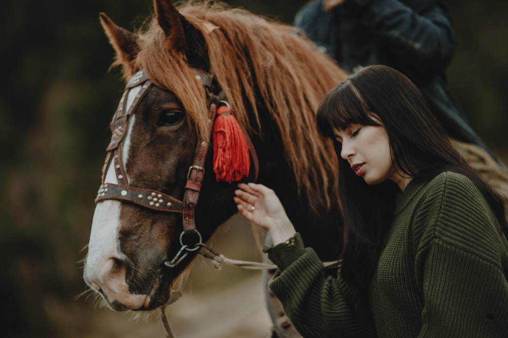 a person petting a horse