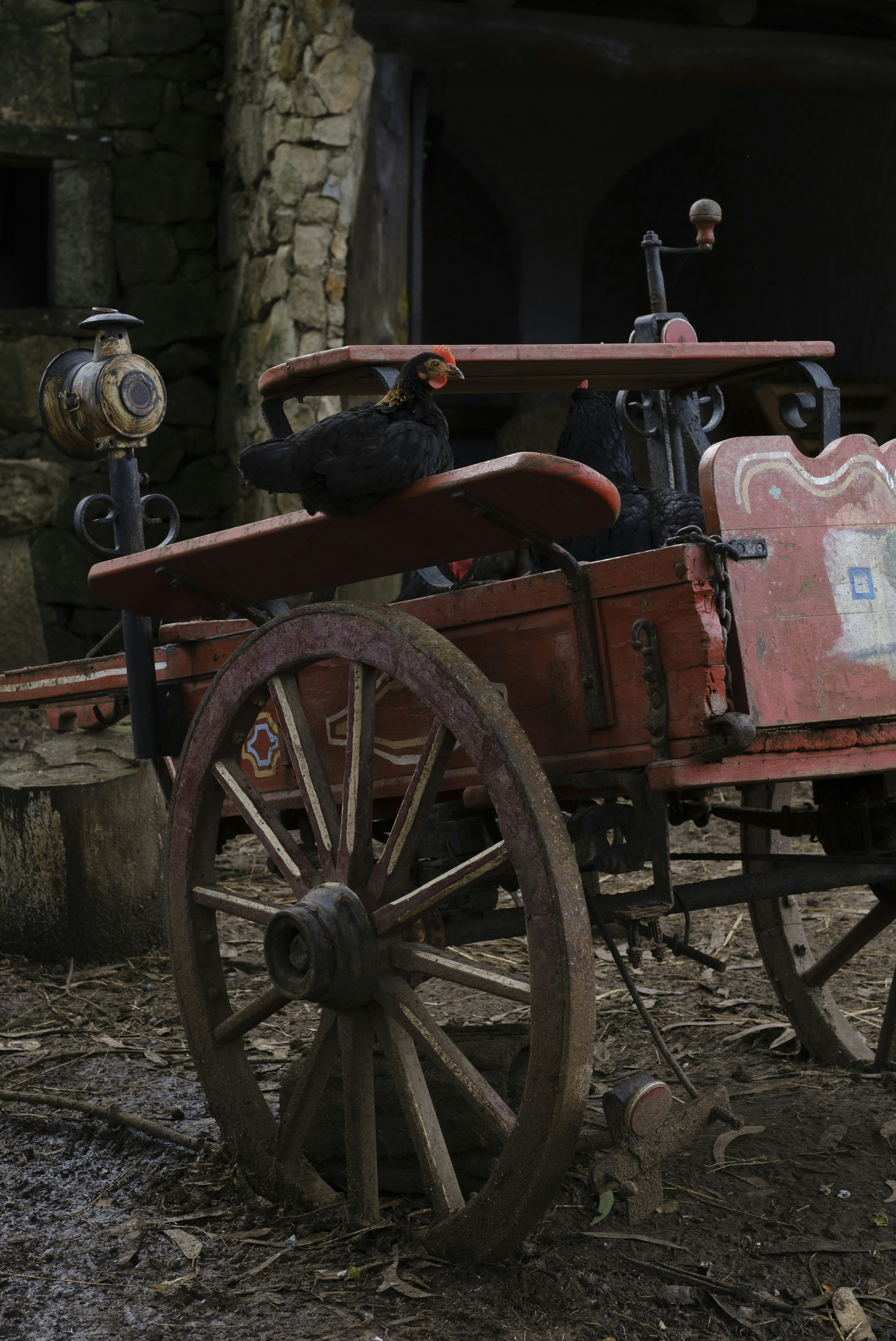 Photo by samueljeronimo