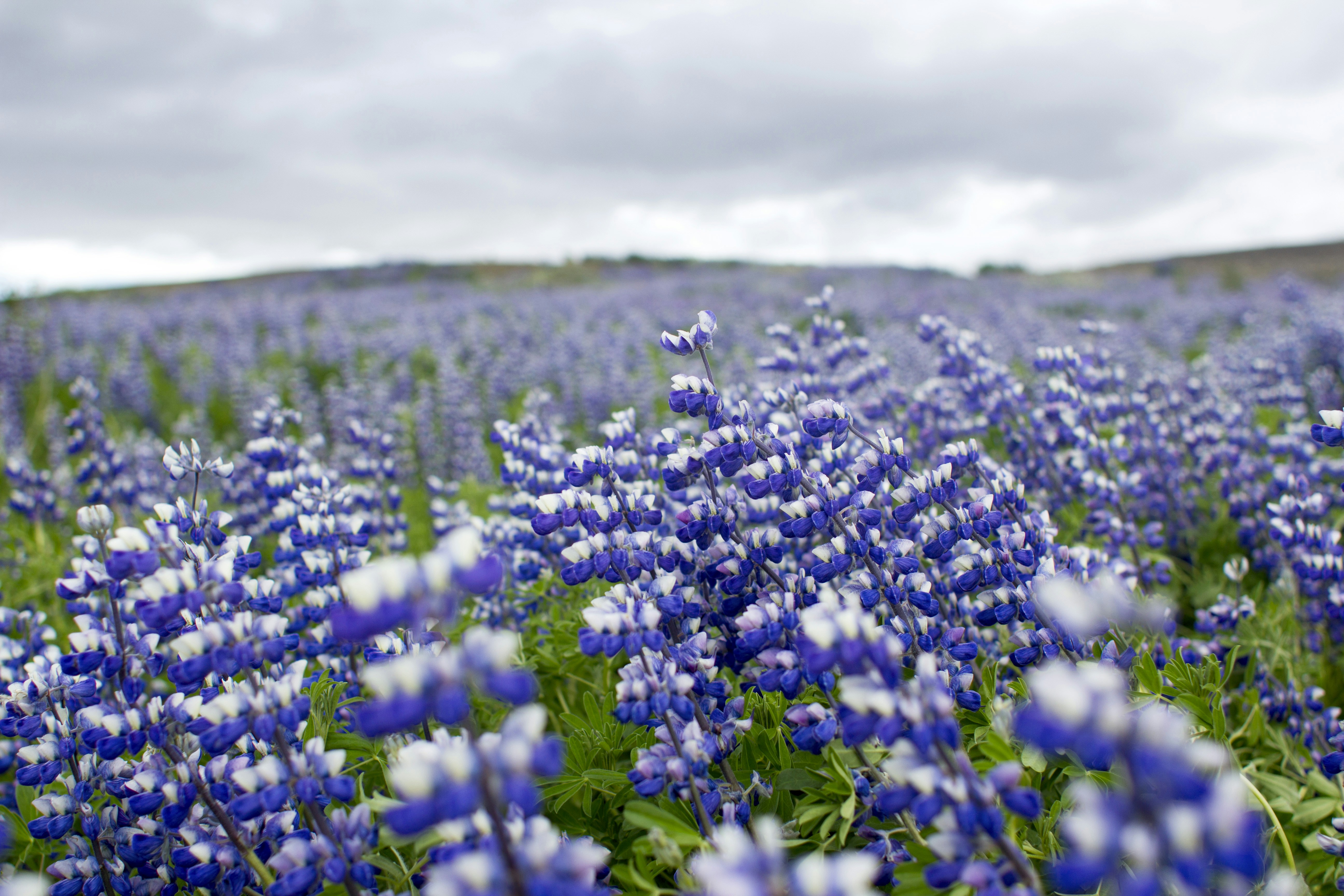 Photo by jordanproietti