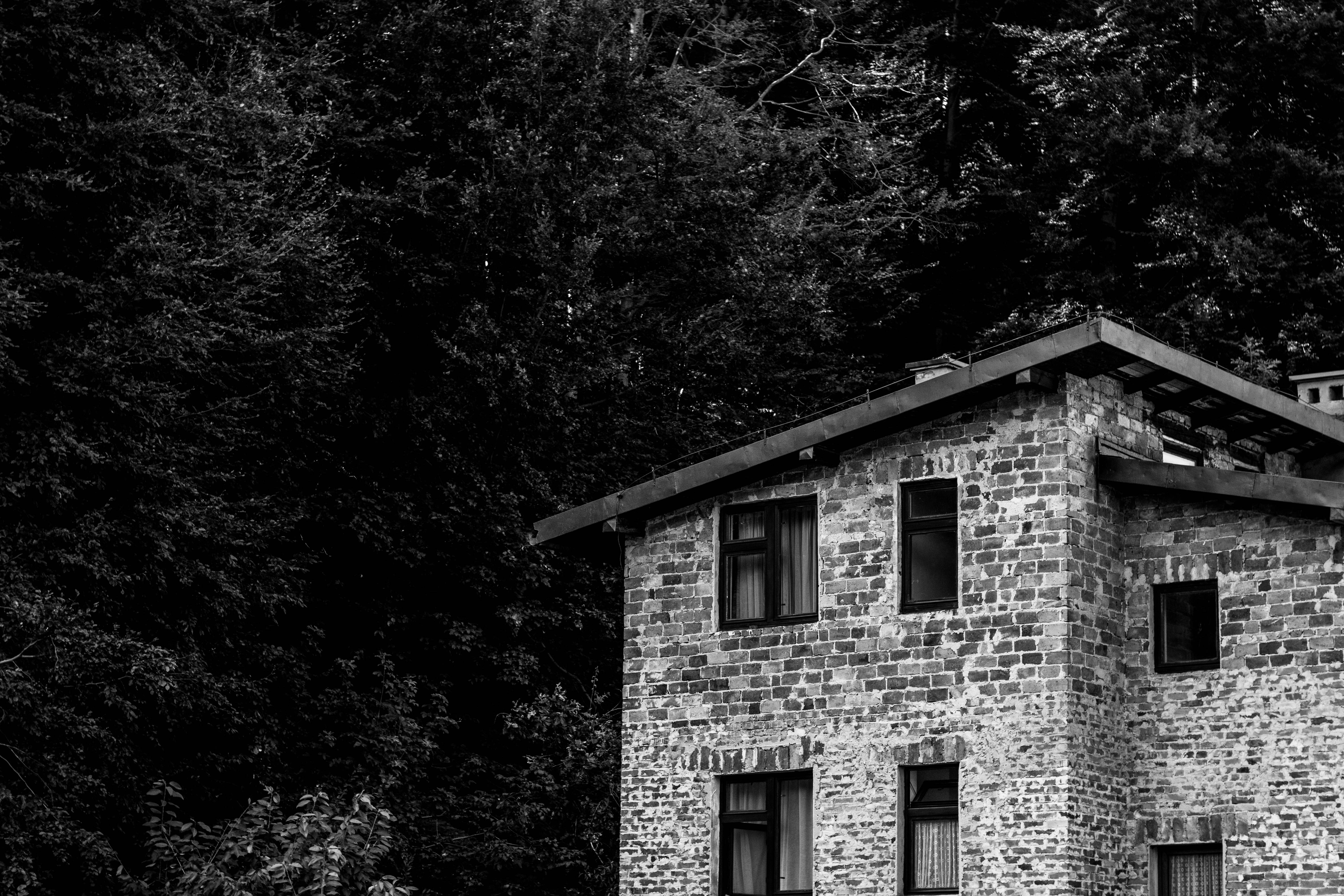 Photo by luizalubinska