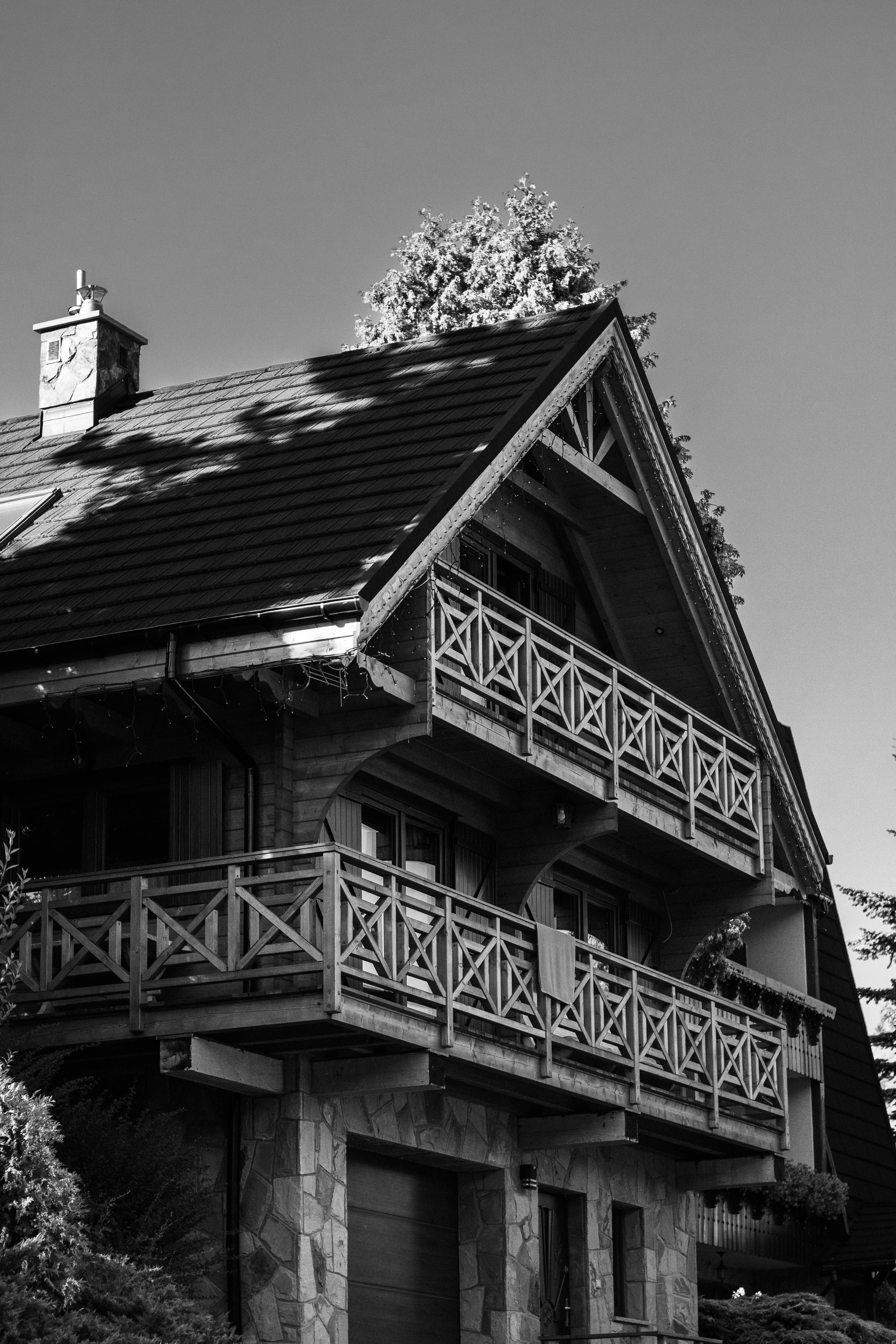 Photo by luizalubinska