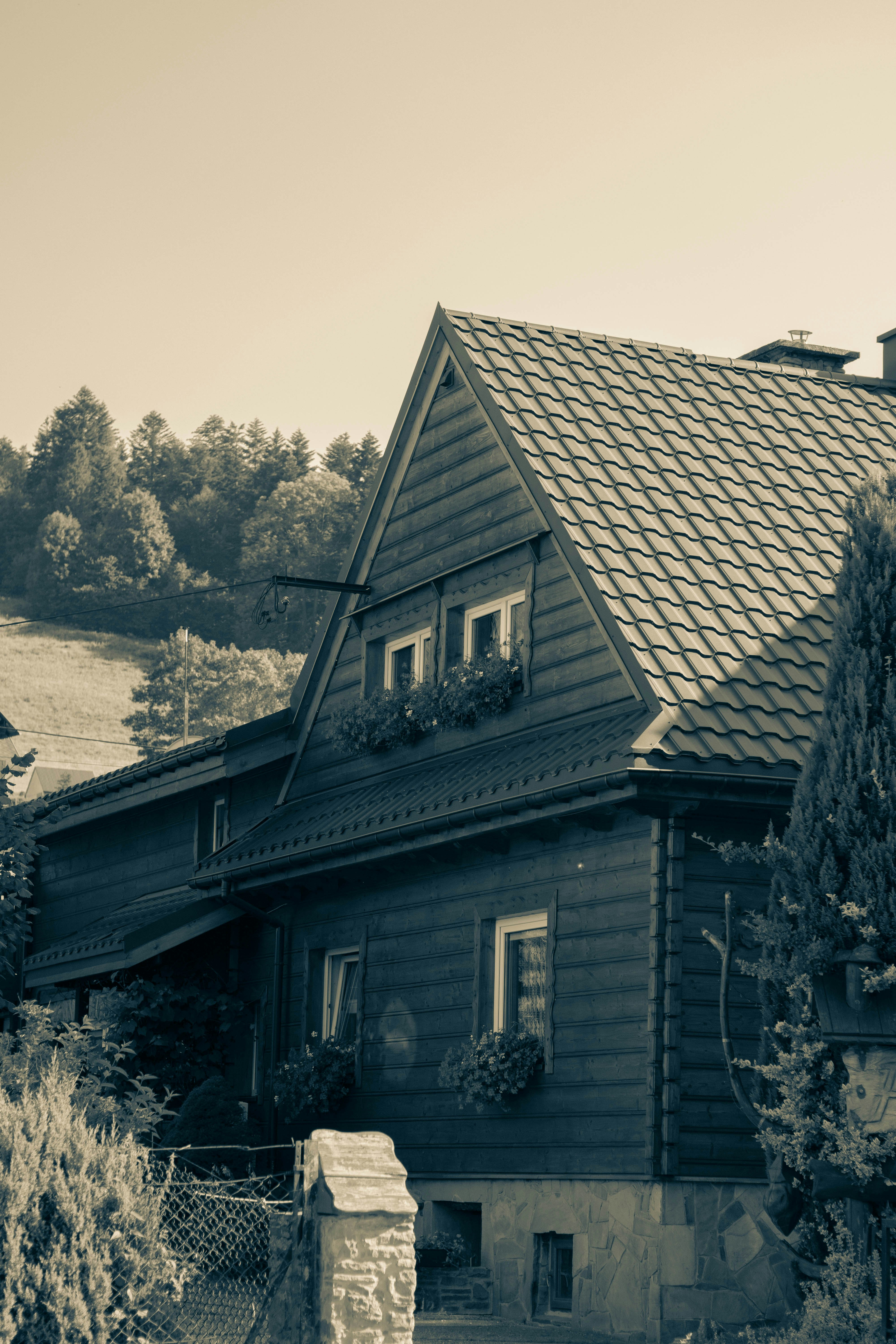 Photo by luizalubinska