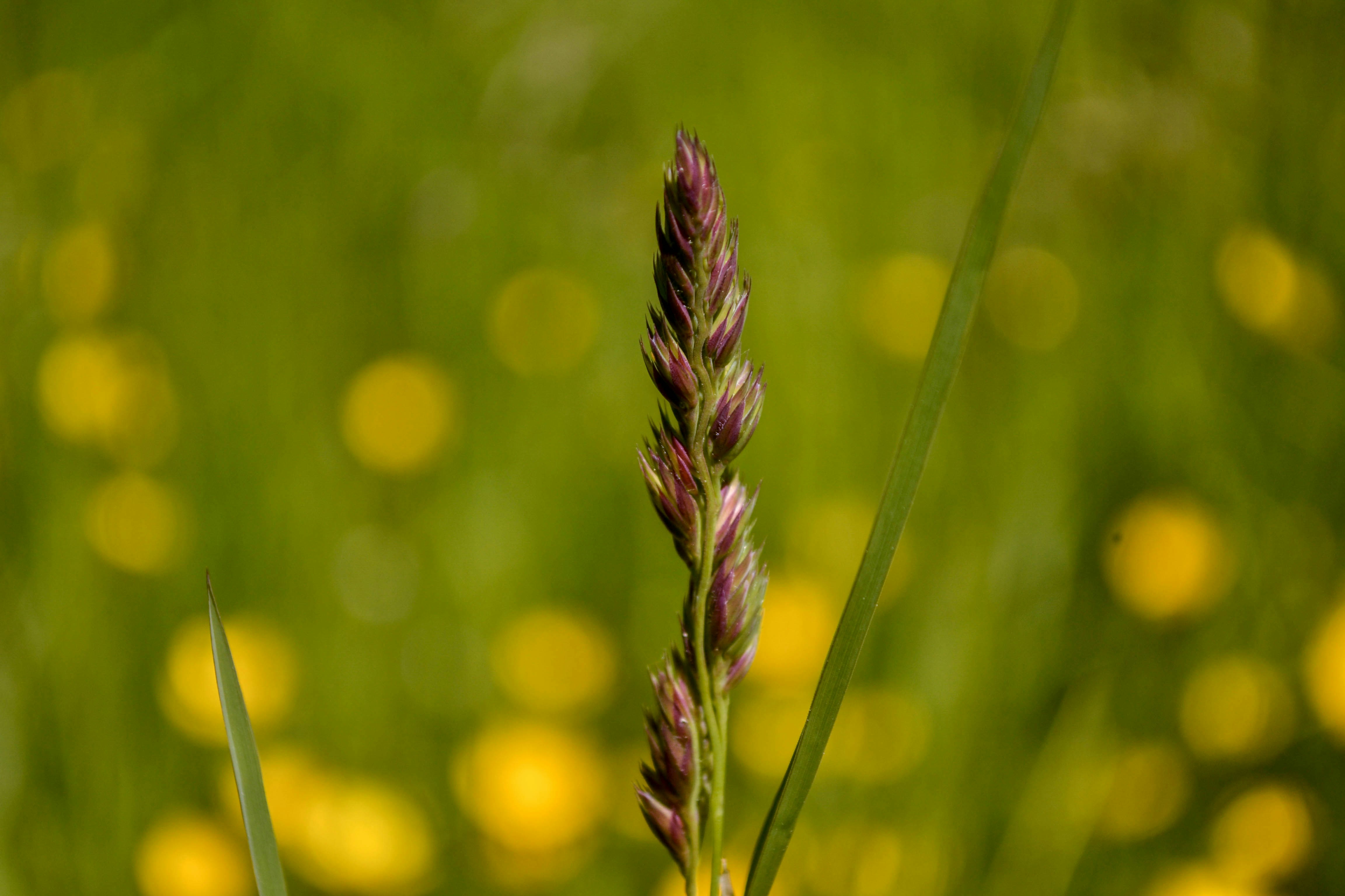 Photo by luizalubinska