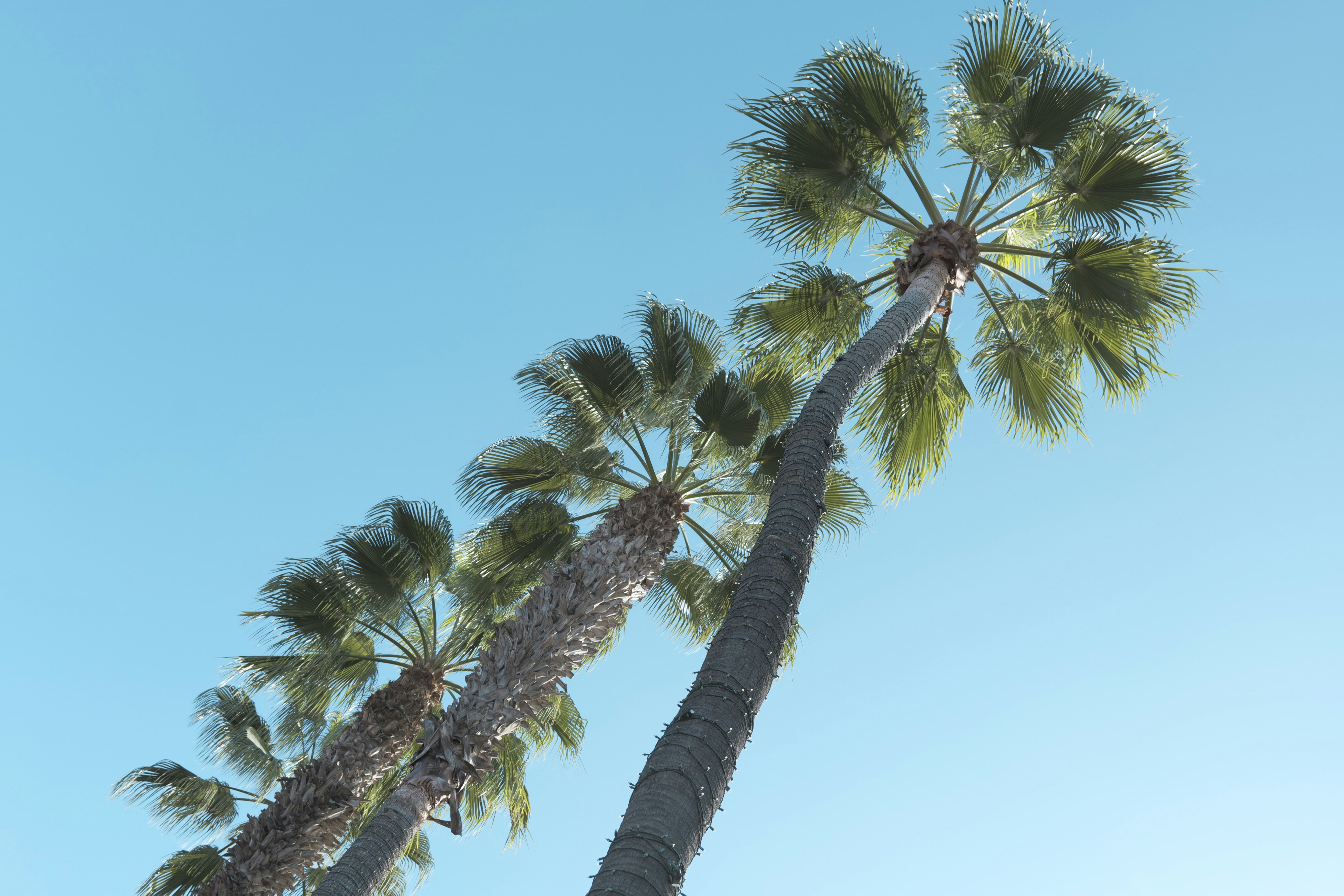 Photo by garza_media05