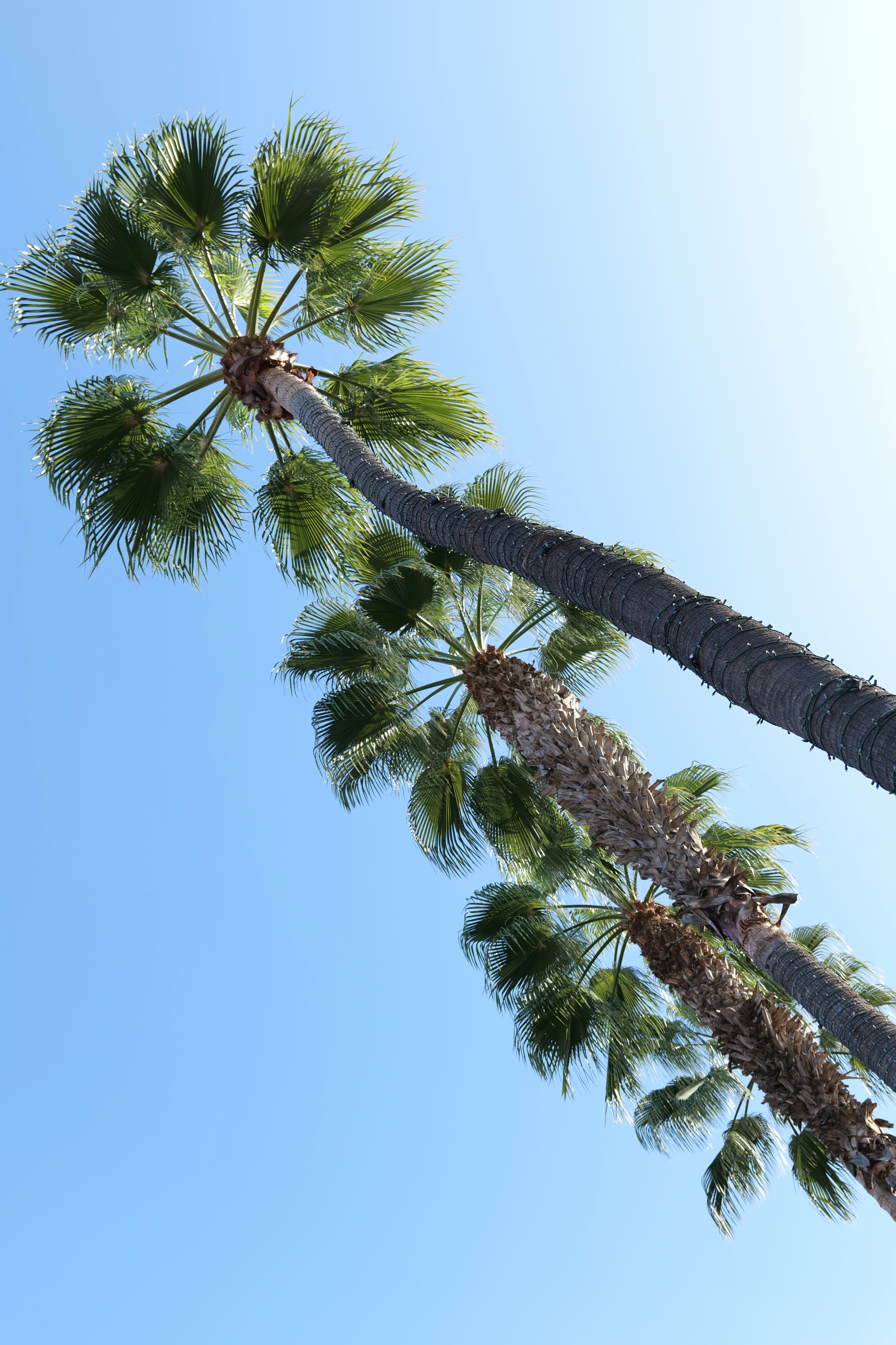 Photo by garza_media05