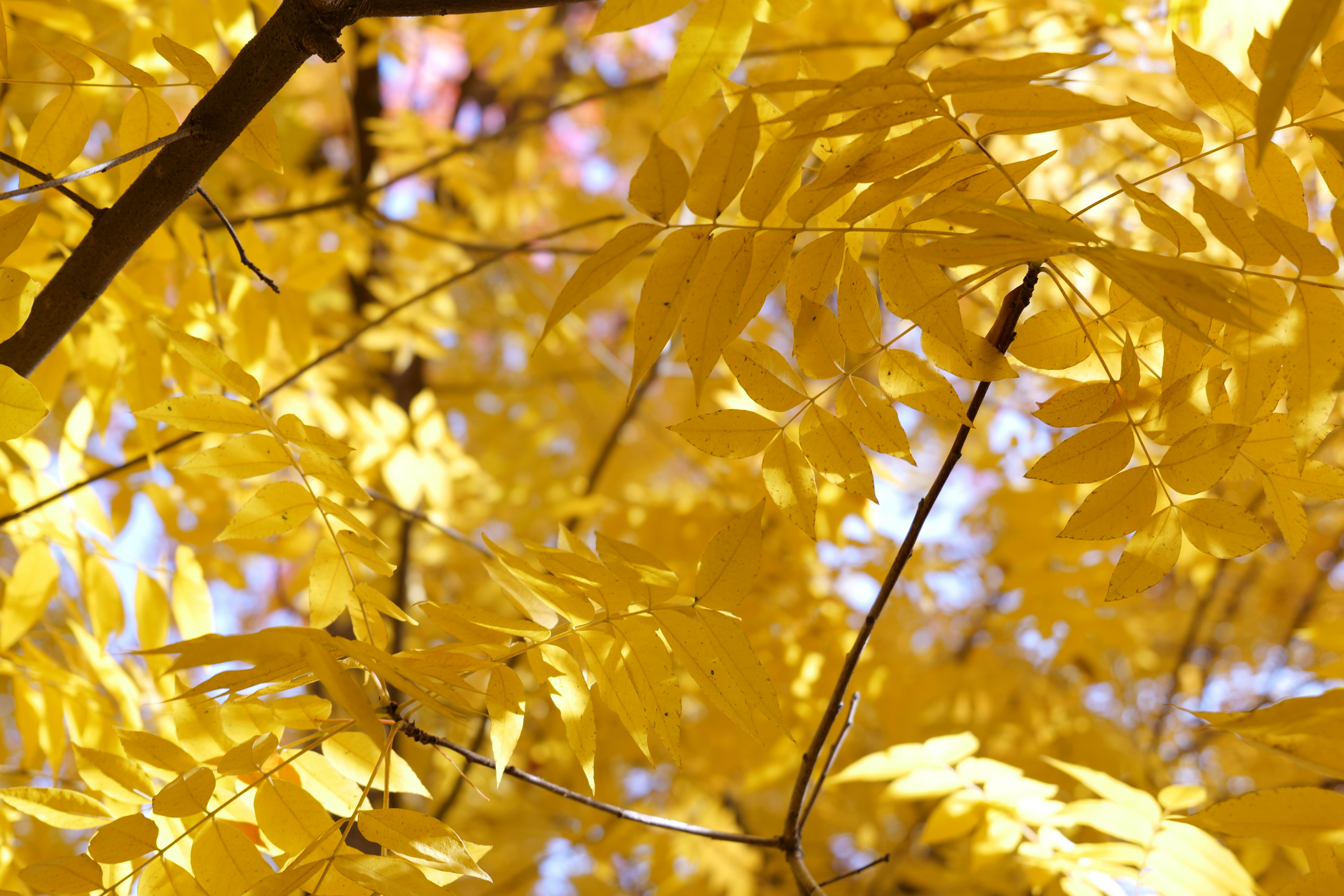 Photo by garza_media05