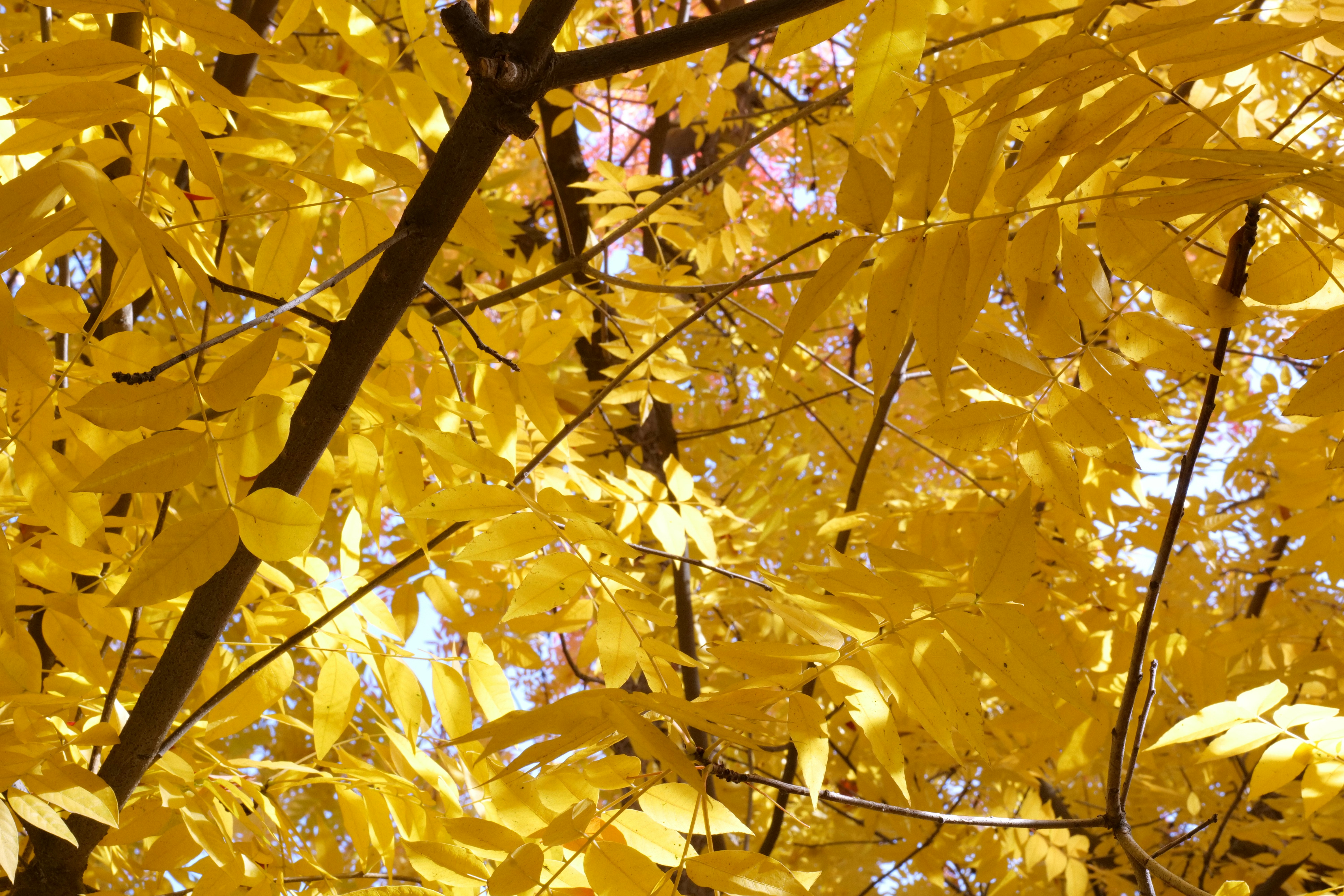 Photo by garza_media05