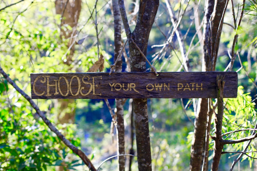 a sign on a tree