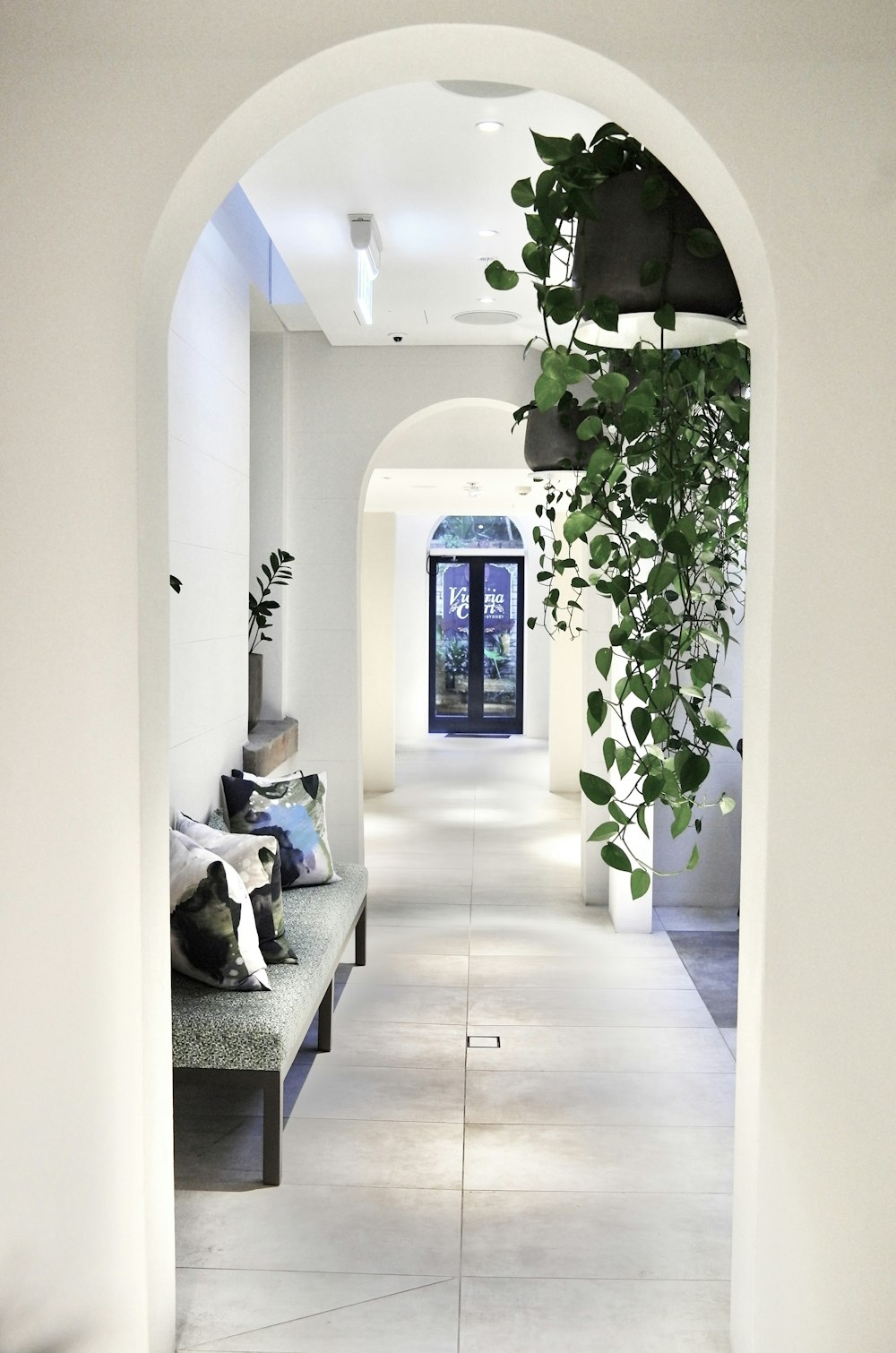 a hallway with a couch and a plant on the wall