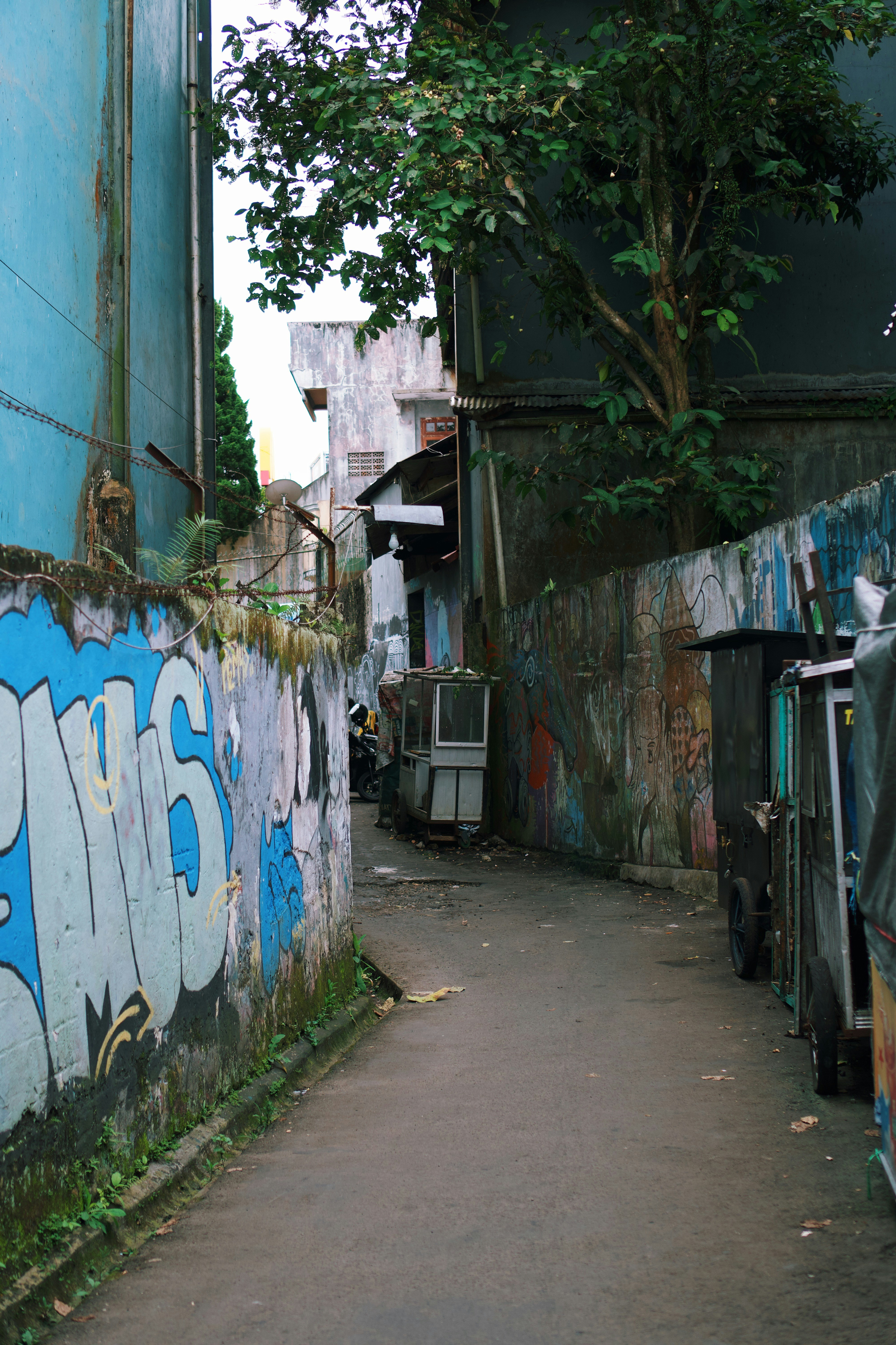 Photo by nazmijavier