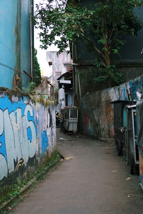 a street with buildings and trees