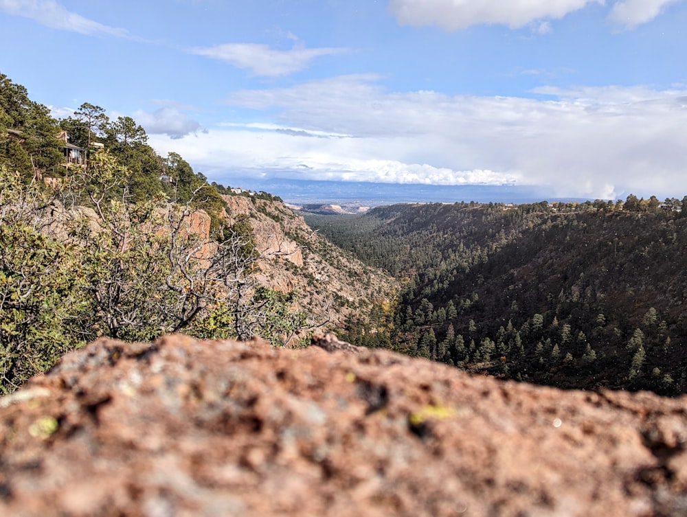 a rocky landscape with trees and mountains