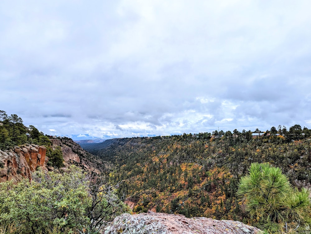 a landscape with trees and rocks