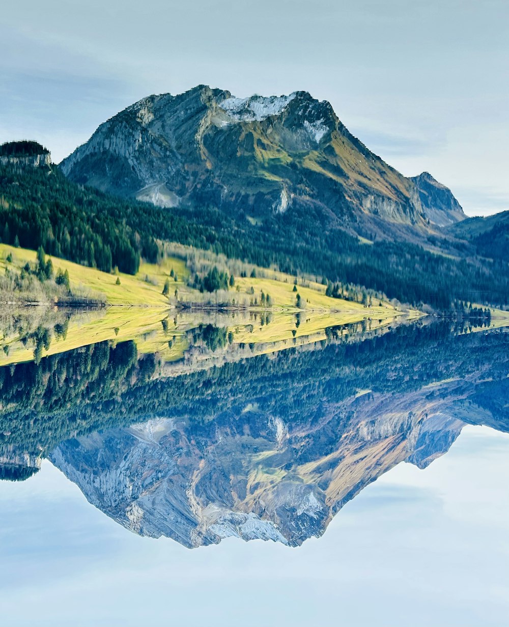 a mountain with yellow and green grass