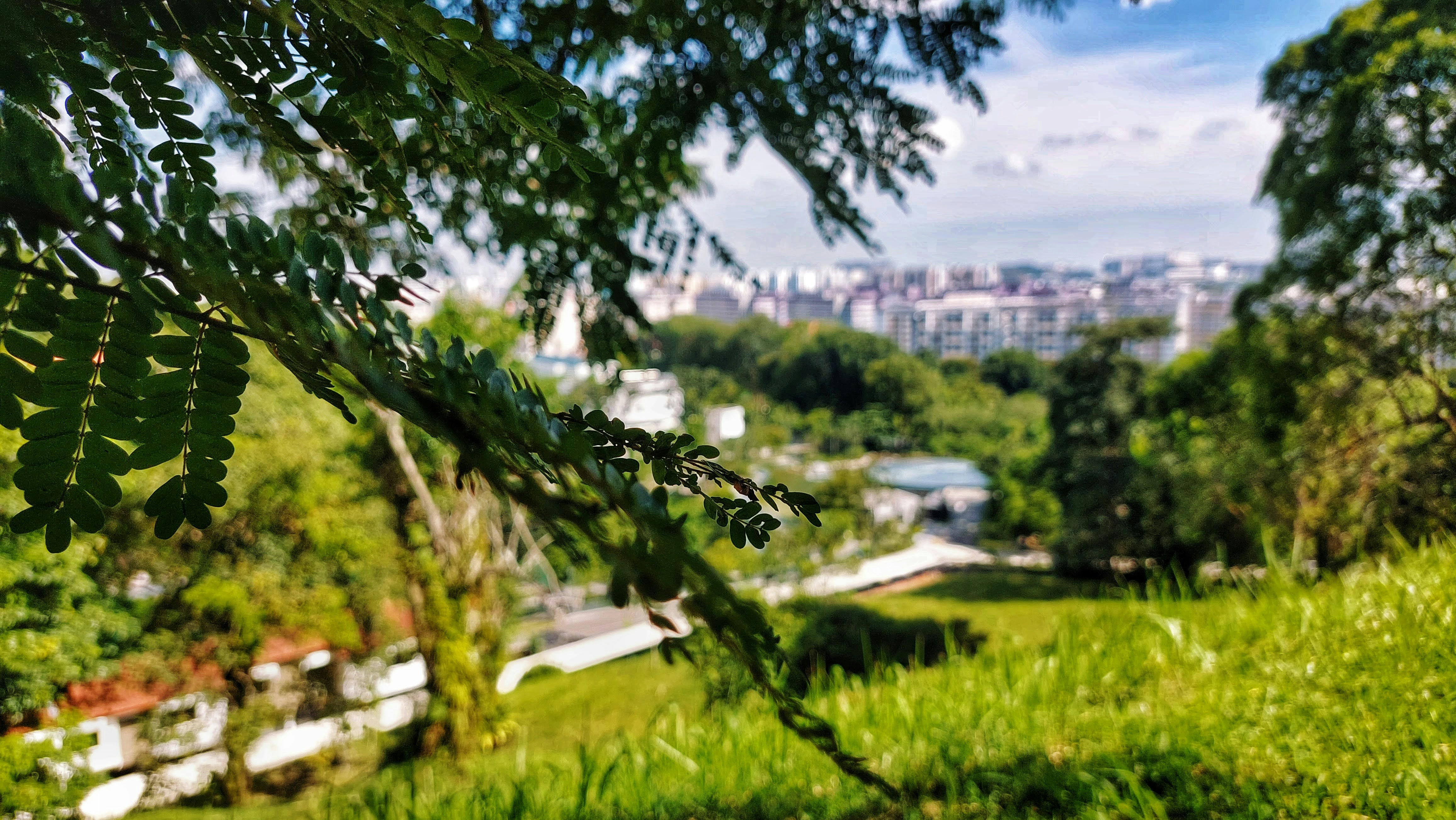 Can You Discuss Technological Advancements In Backboard Materials?