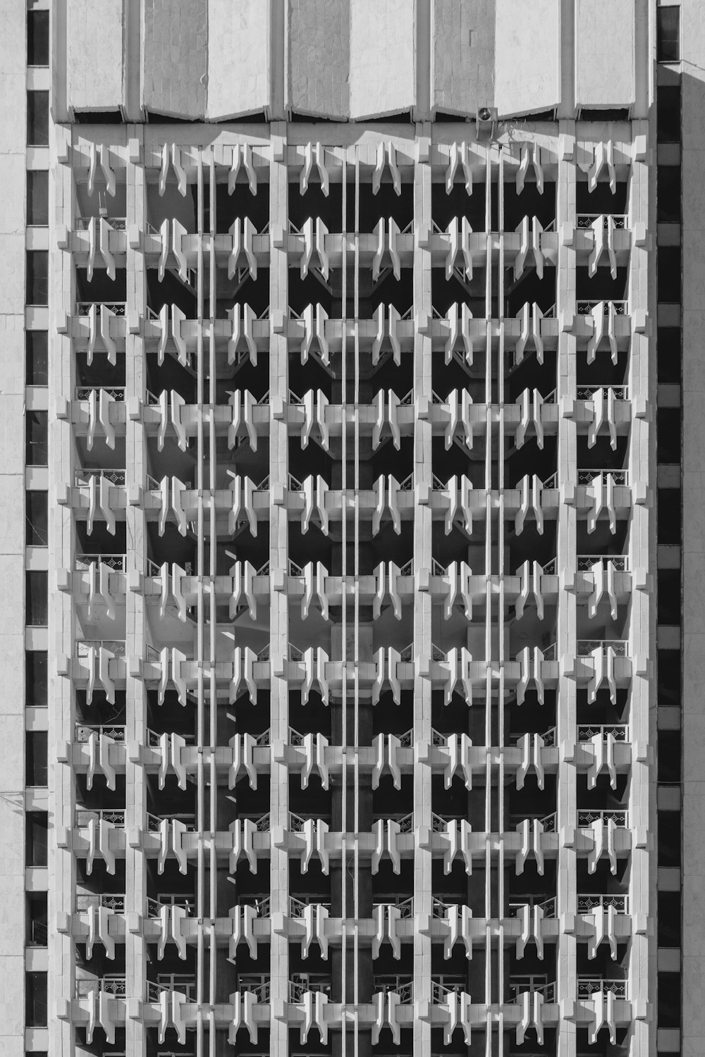 a black and white photo of a cat in a cage