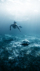 A snorkeler swims gracefully underwater near the ocean floor, where a solitary sea turtle moves slowly across a bed of seagrass. Light filters in from the surface, creating a serene and ethereal atmosphere.