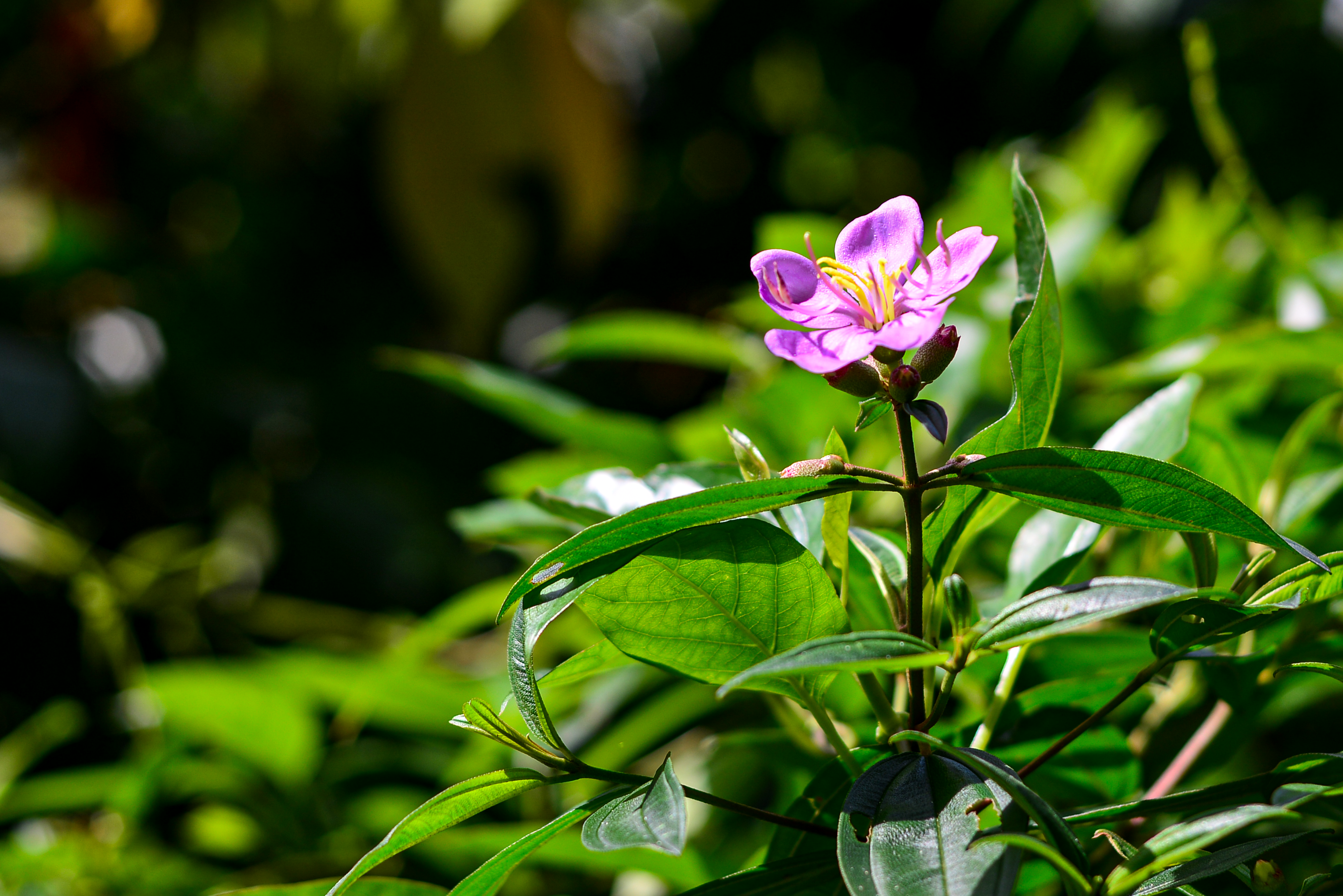 Photo by smithclukas