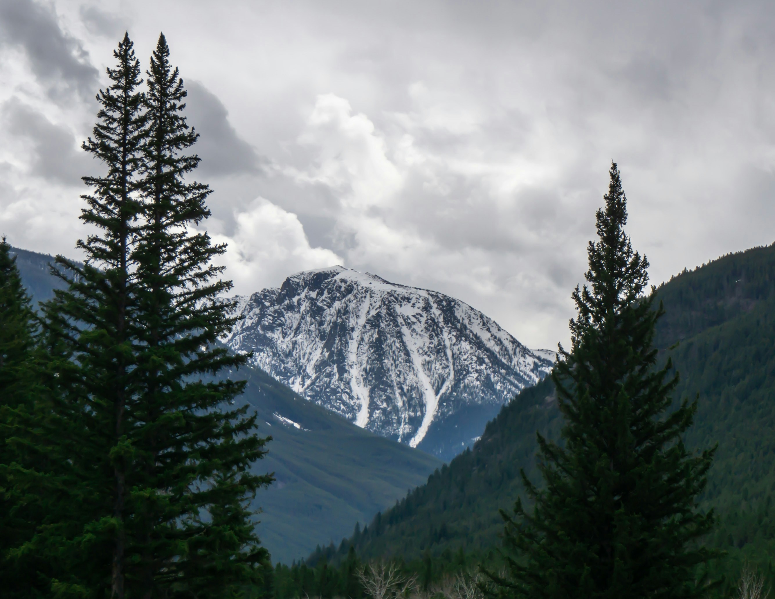 Photo by elenacadams