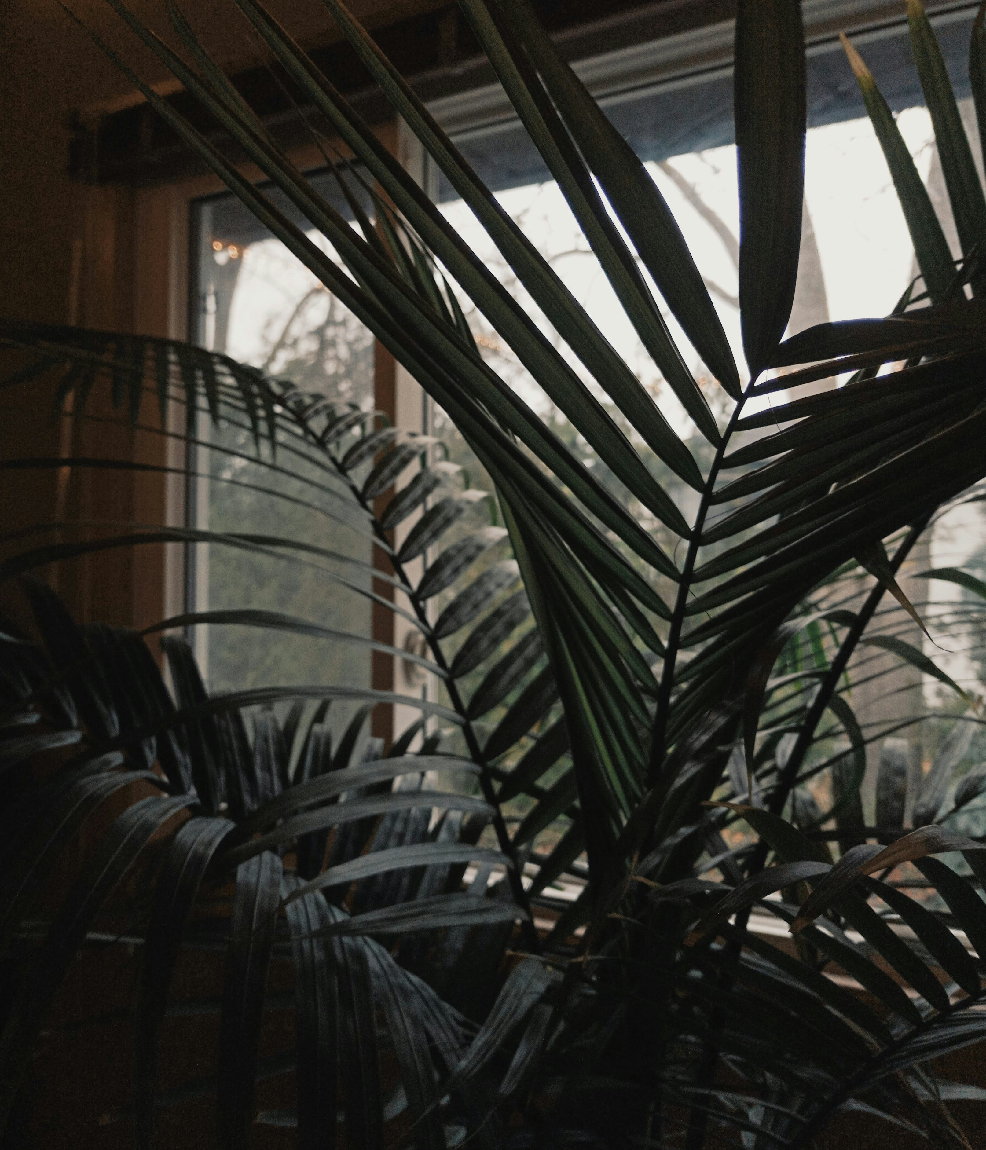 Photo by linusbelanger