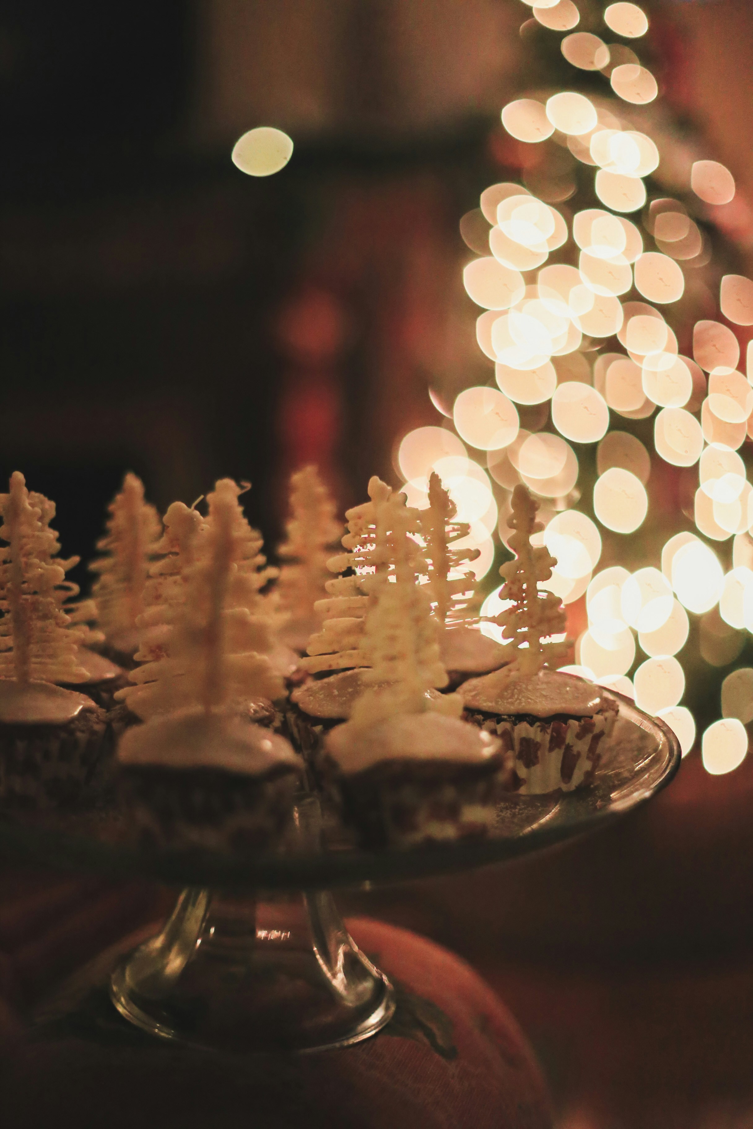 Photo by jessicalfadel