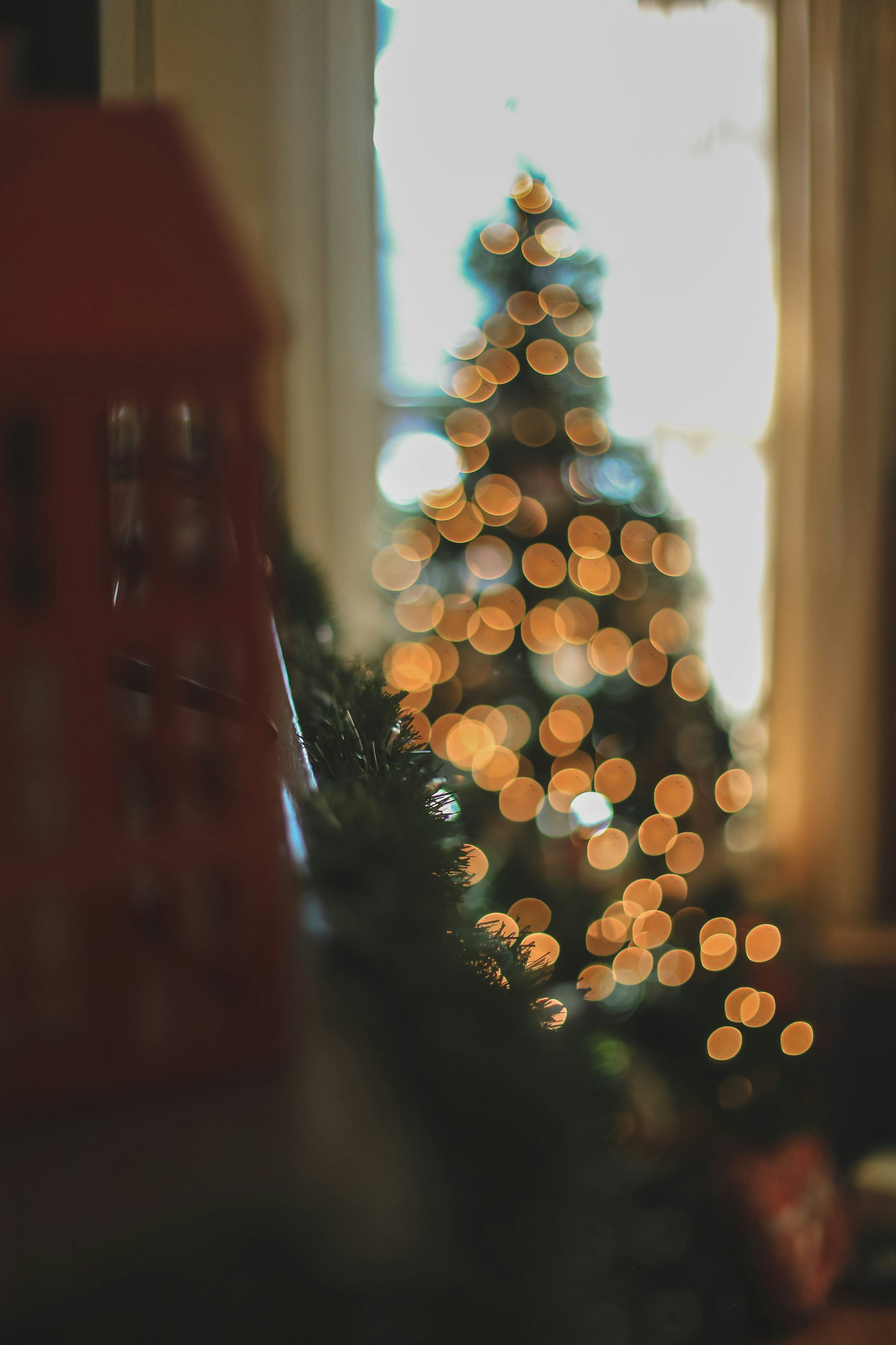 Photo by jessicalfadel