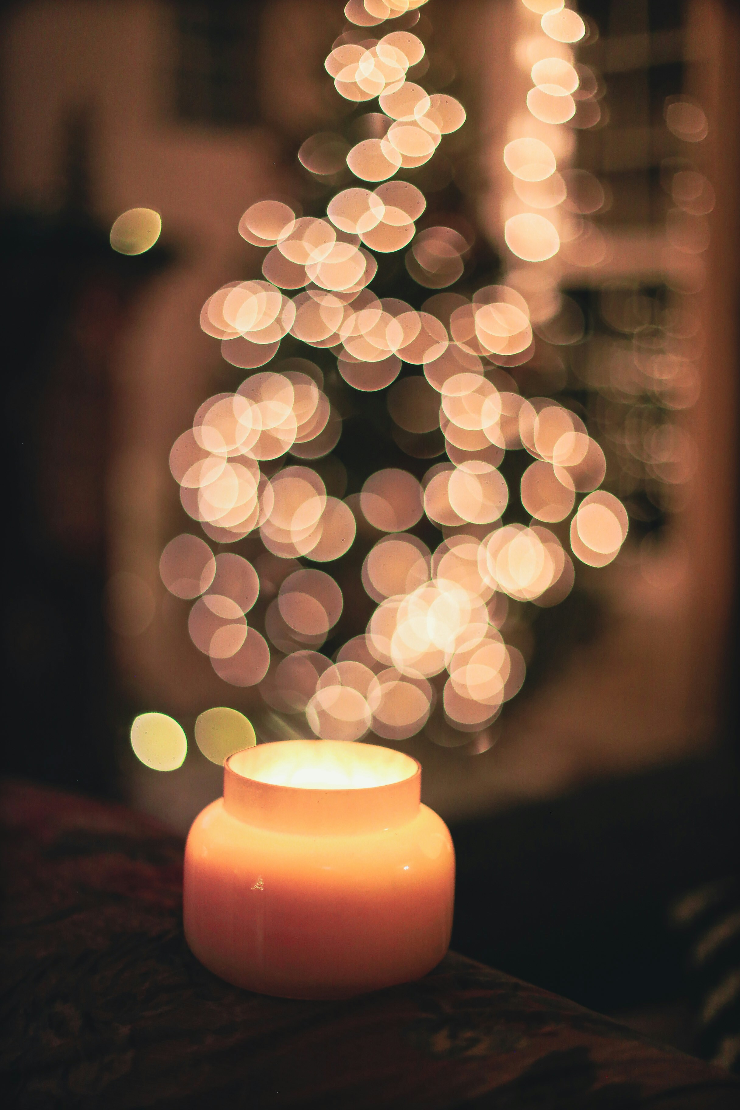 Photo by jessicalfadel