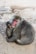 A mother monkey is sitting on a rough, cracked surface with her baby nestled close to her side. The adult's fur is thick and grayish-brown, with a distinct red face. The baby has a softer, lighter coat and is peering curiously outward.