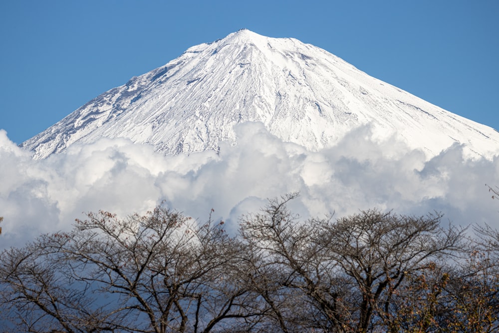 a snowy mountain with trees below