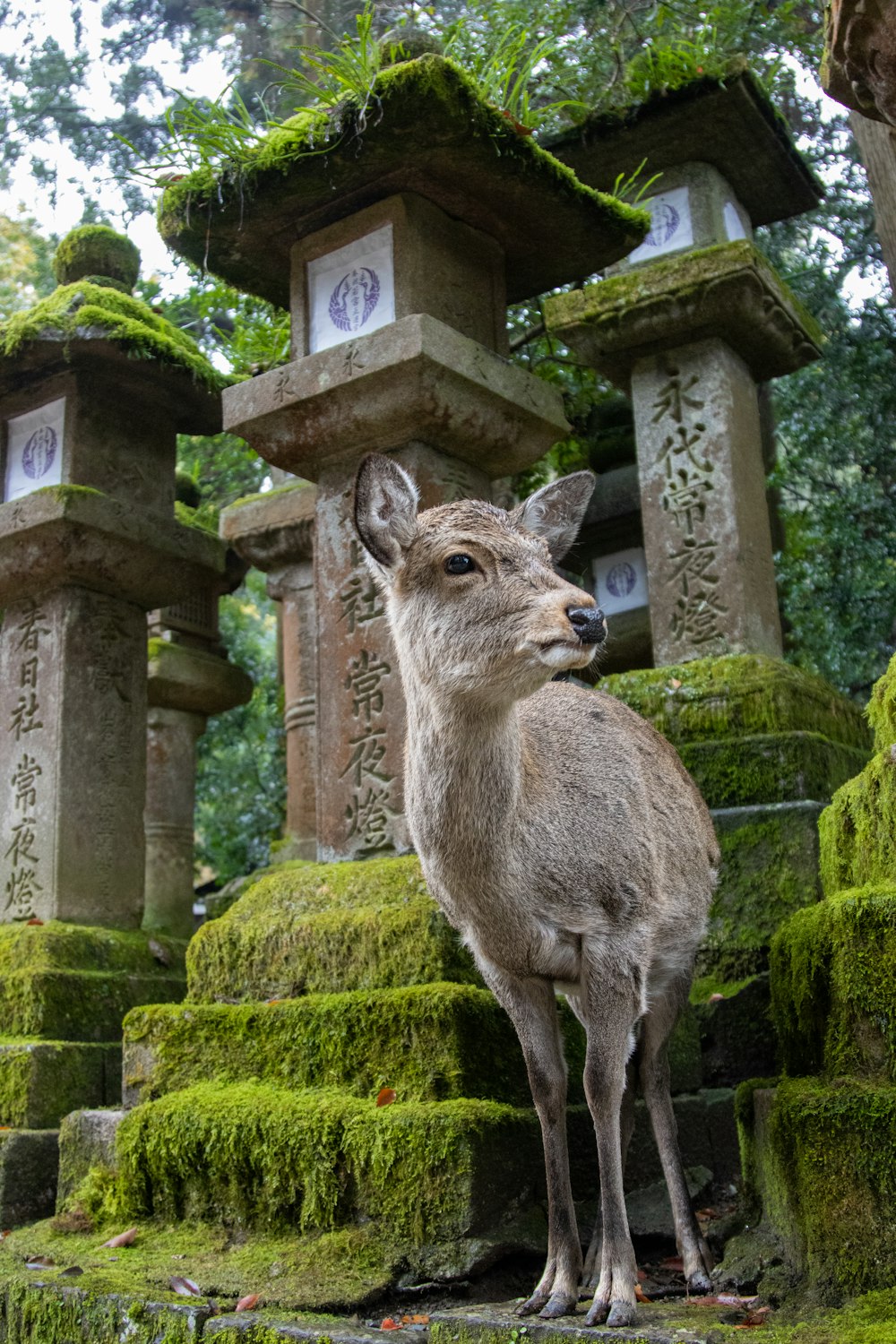 a statue of a deer