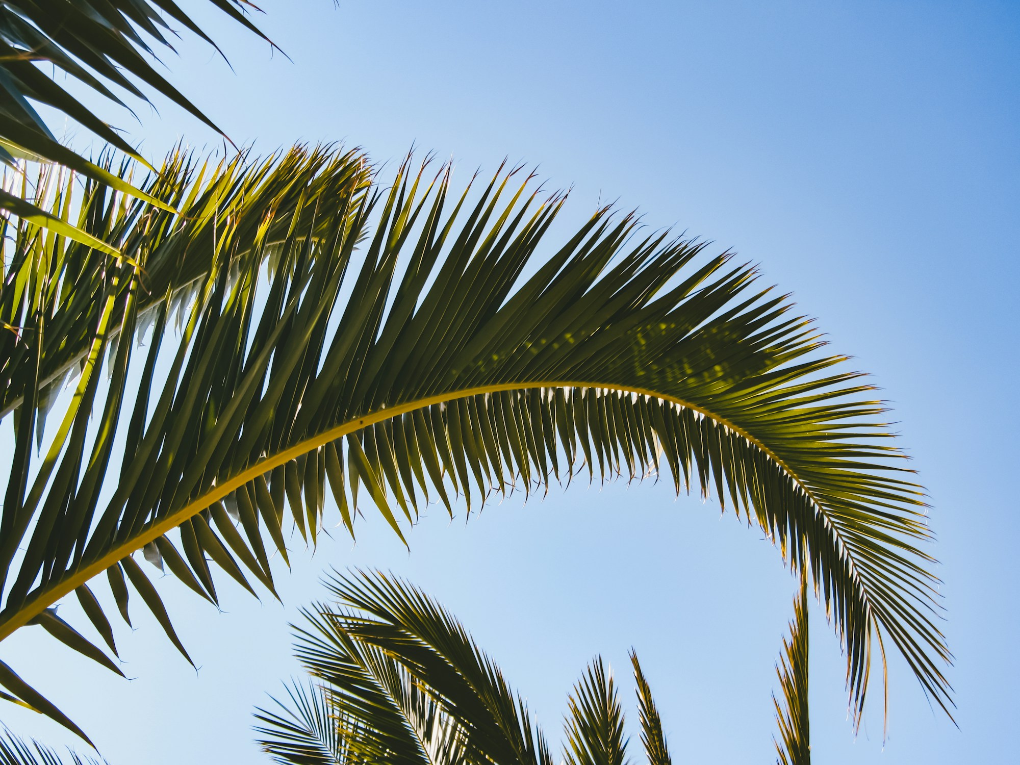 Discover Enna: Culture, Traditions & Celebrations