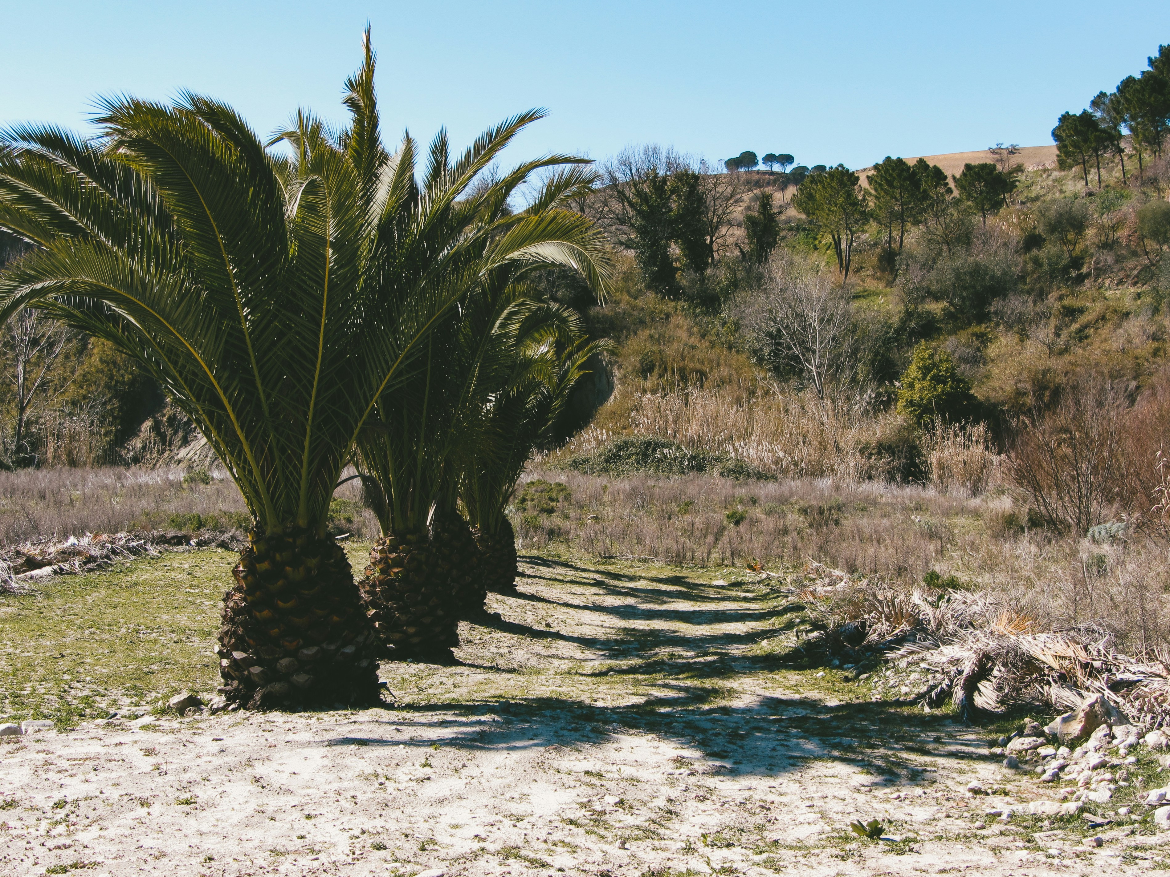 Piazza Armerina landscape near Villa Romana del Casale