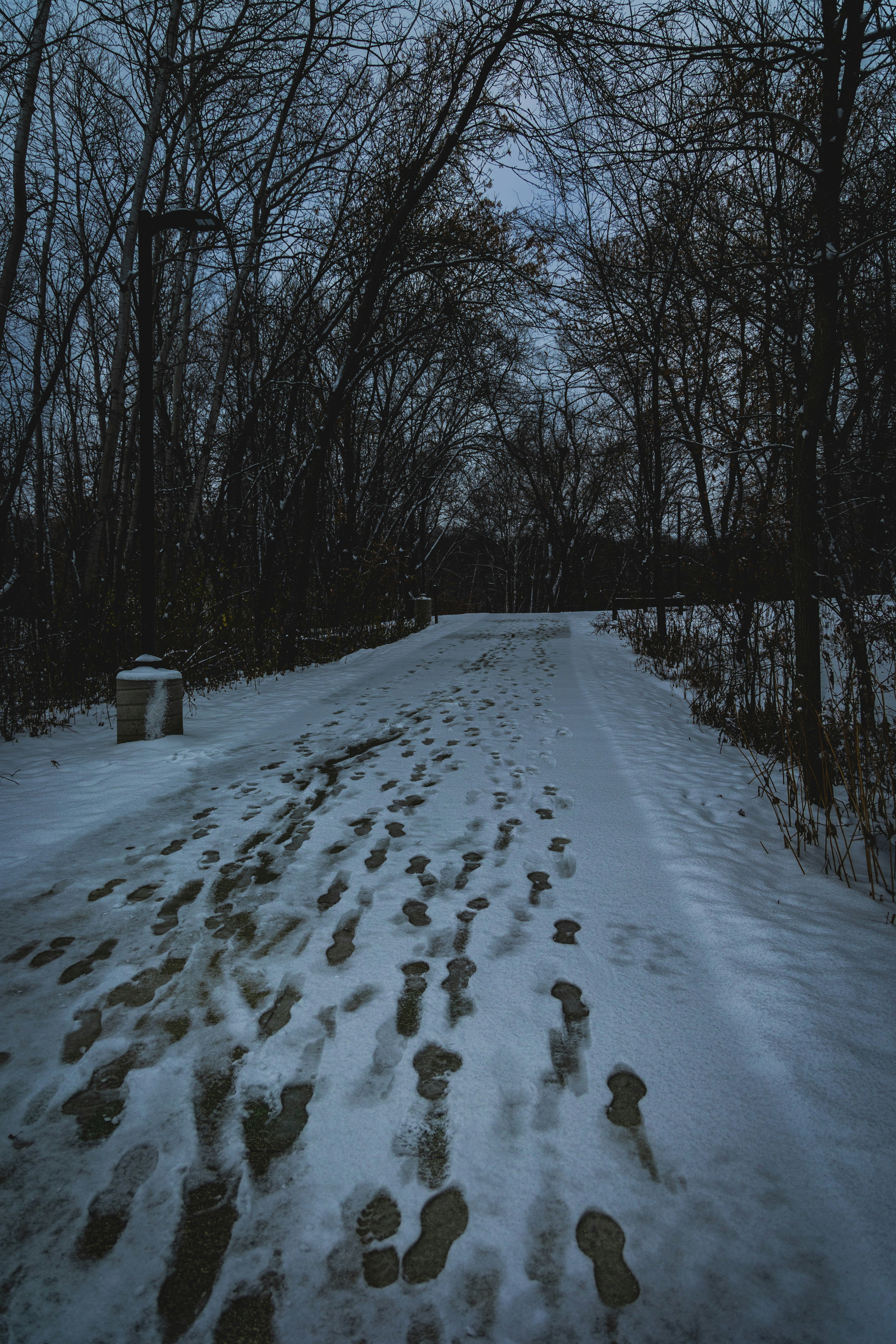 Photo by danieljerez